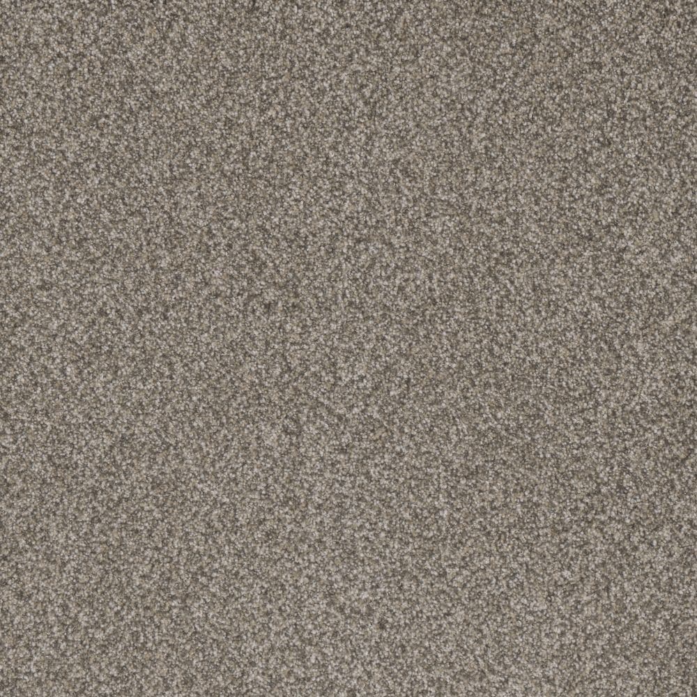 STAINMASTER S9654-110-1200-MO Playa I Reef Brown 54-oz sq yard Solution-dyed polyester Textured Indoor Carpet