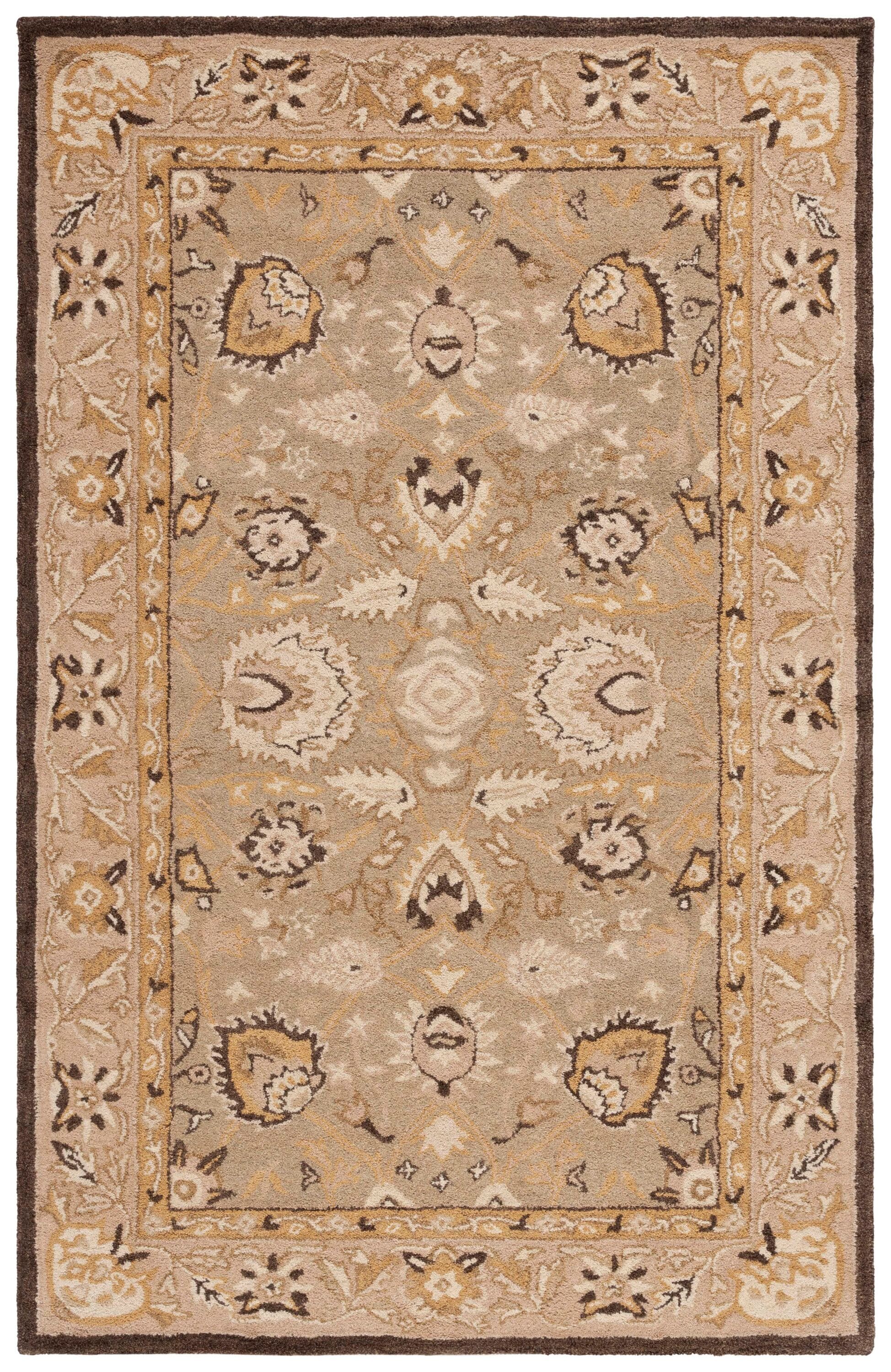 Safavieh AN512C-5 rugs - View #2