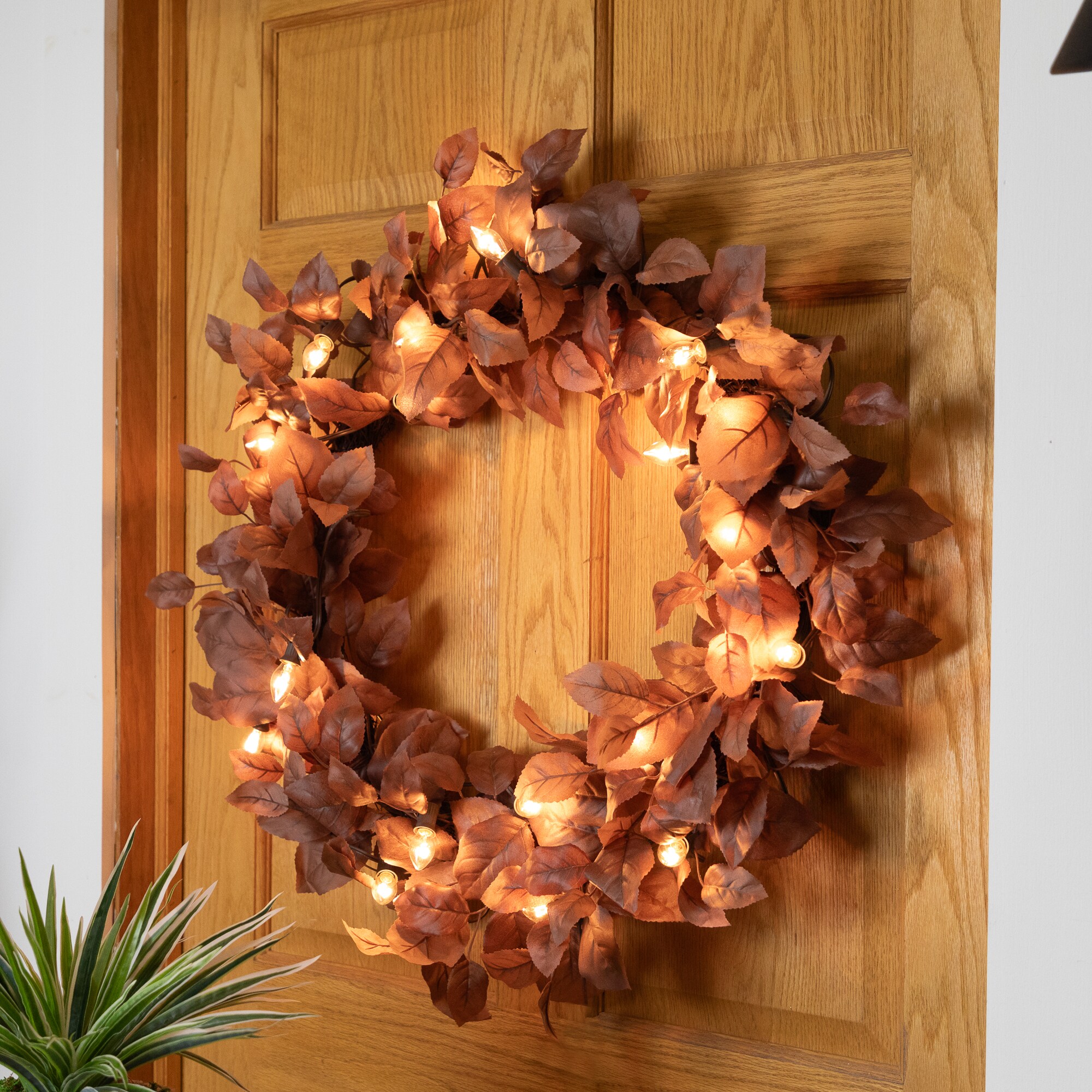 Northlight 35167276 Christmas-String-Lights - View #4