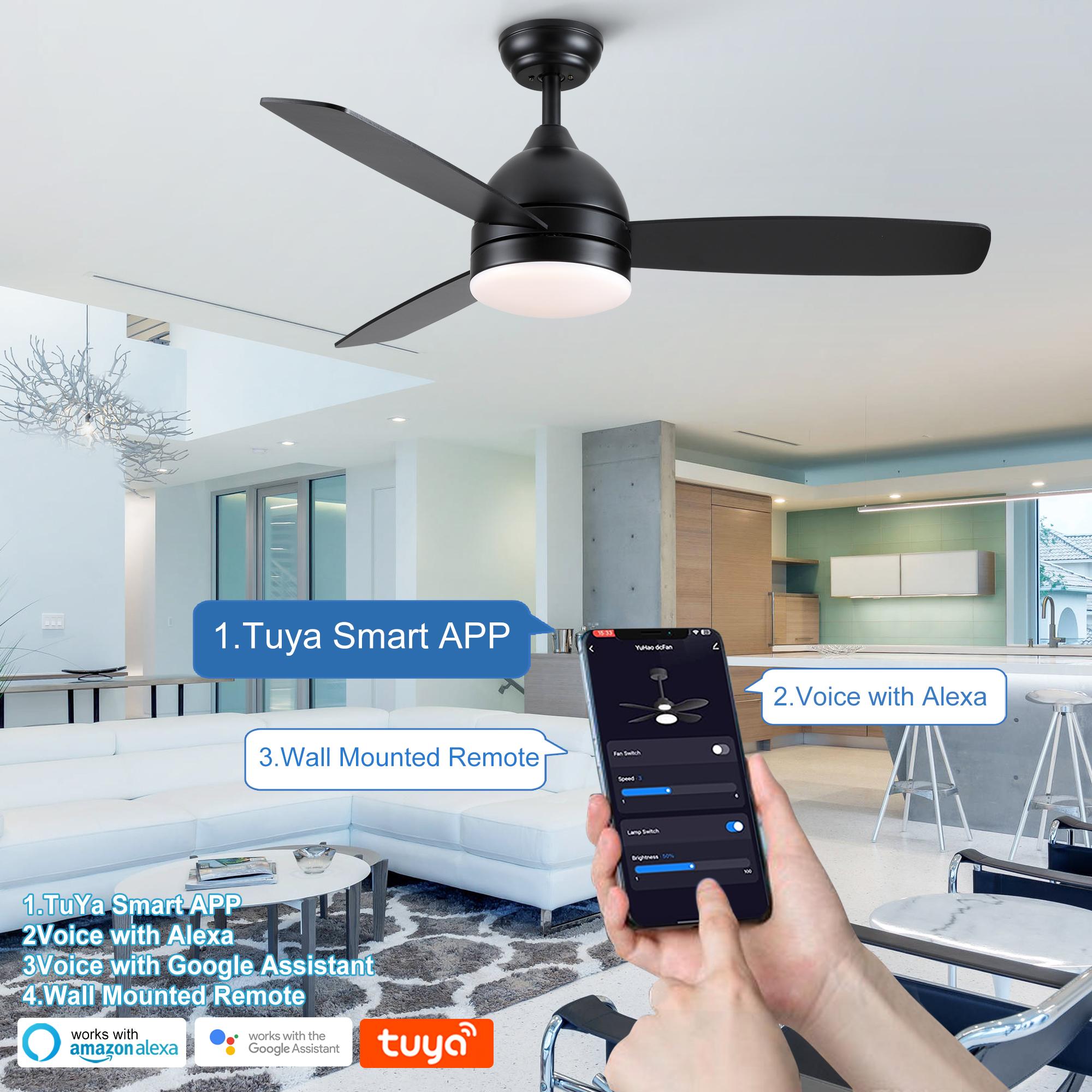 Bayfeve BFYH-82810-CF Ceiling-Fans - View #7