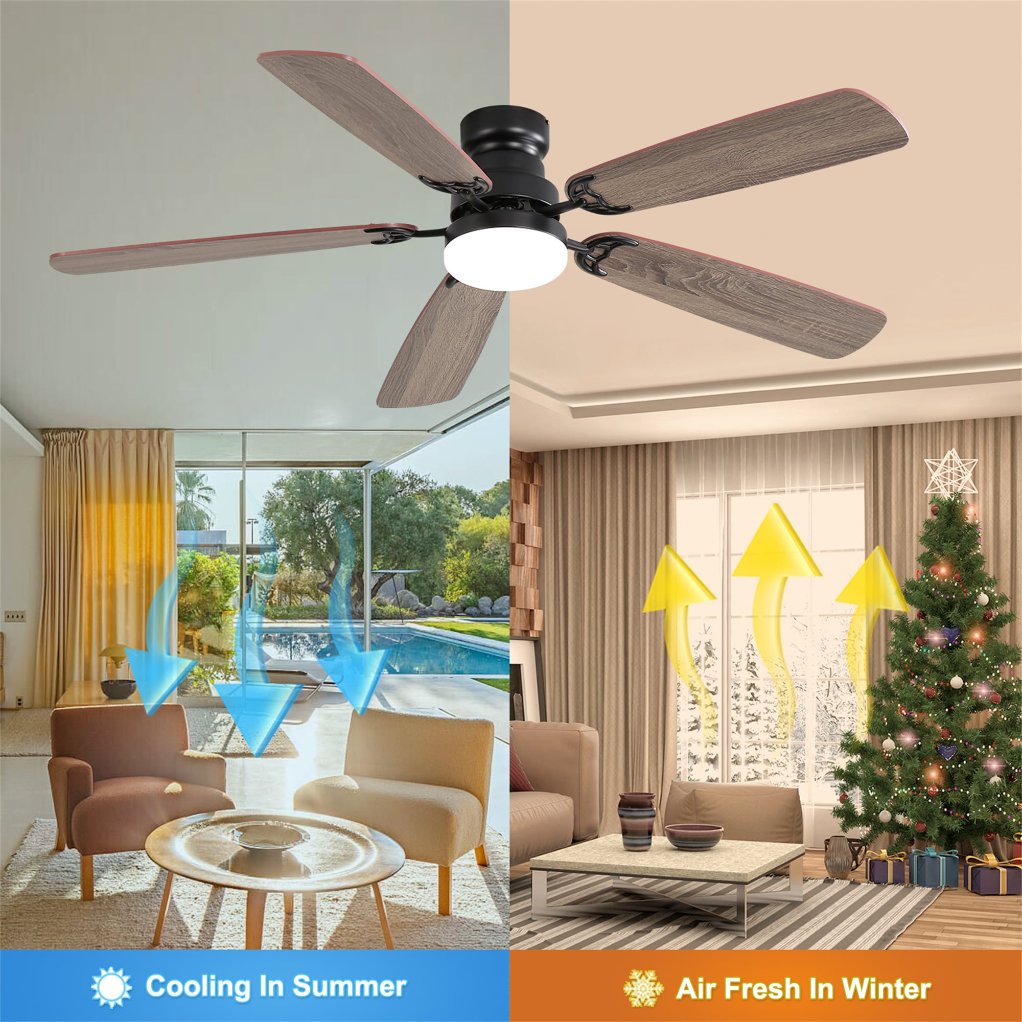 BABOOM BOM-P189484-OR Ceiling-Fans - View #5