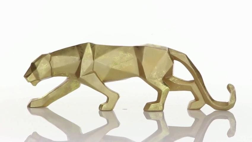 A thumbnail for the video