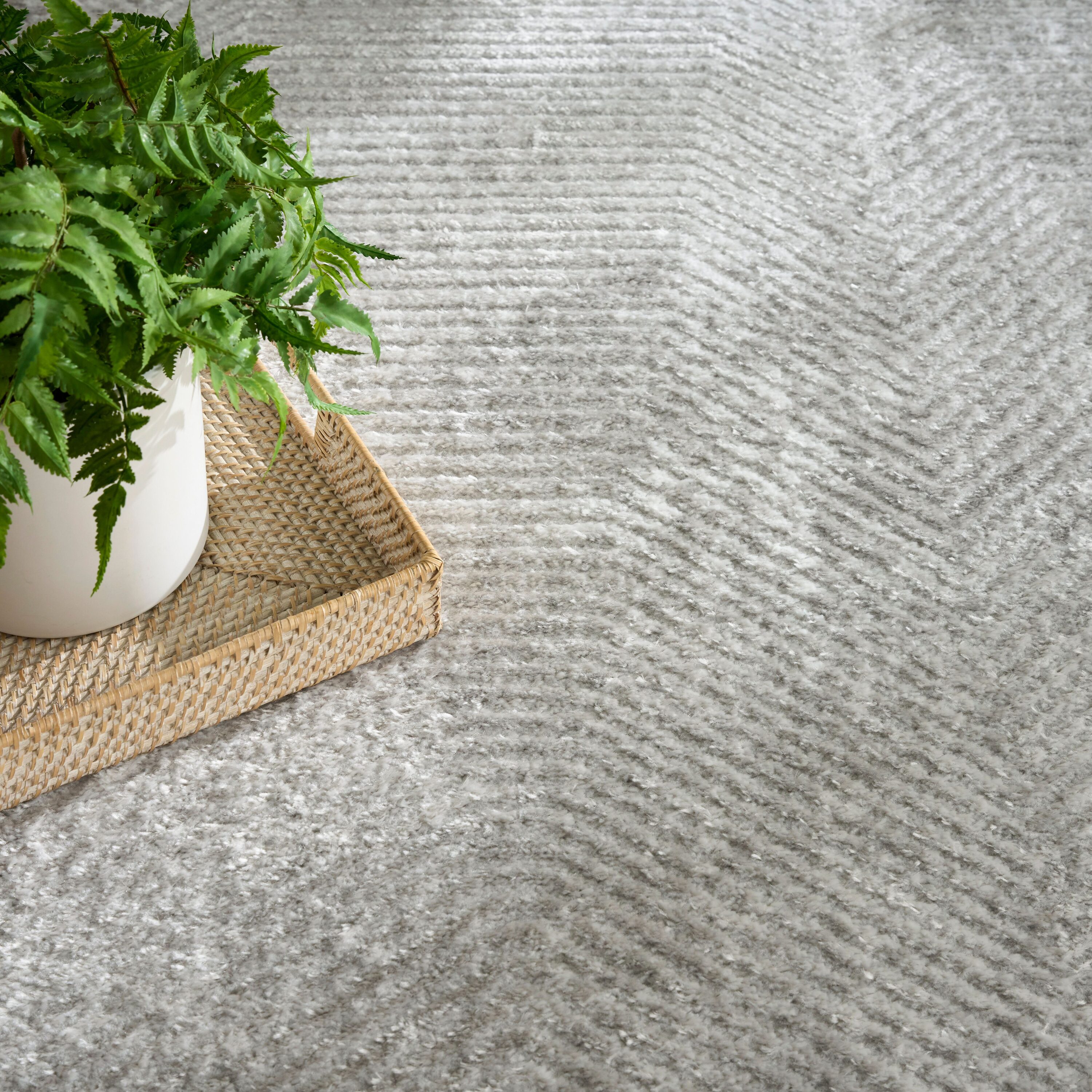 Nourison 841491152560 rugs - View #3