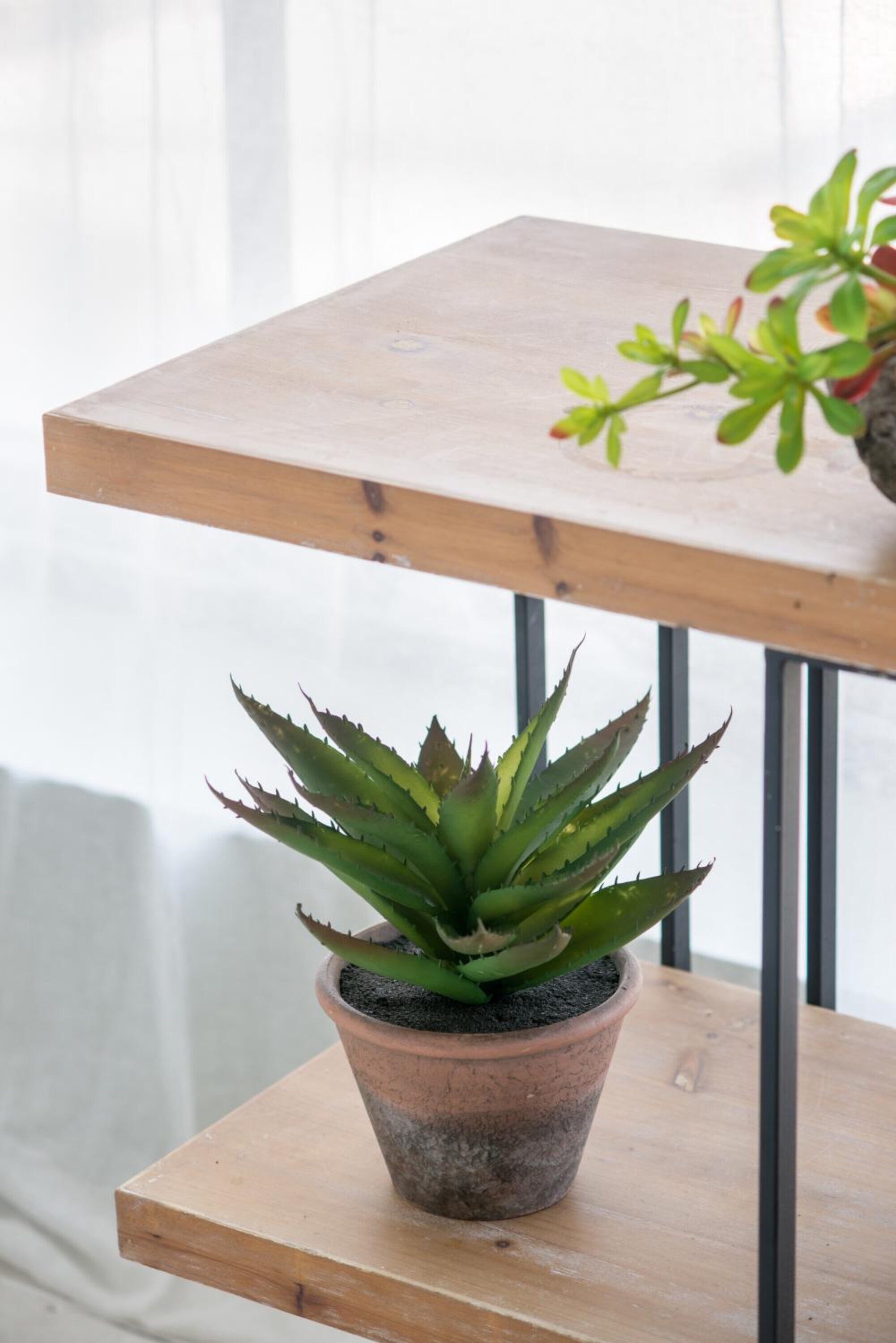 A&B Home F2639 Artificial-Plants-Trees - View #5