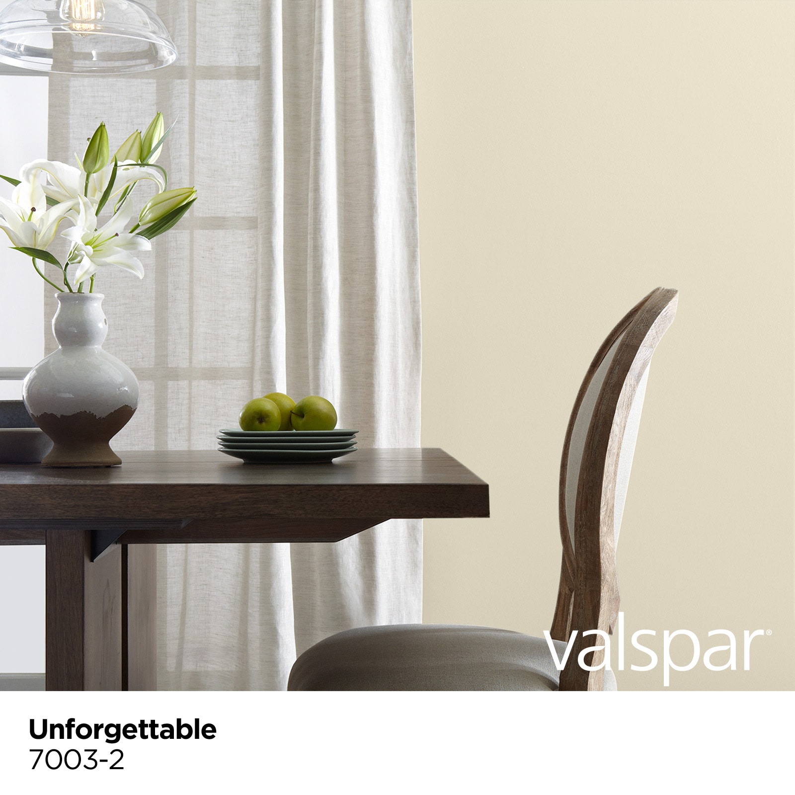 Valspar 7003-2-2916580 Int-Ext-Paint - View #3