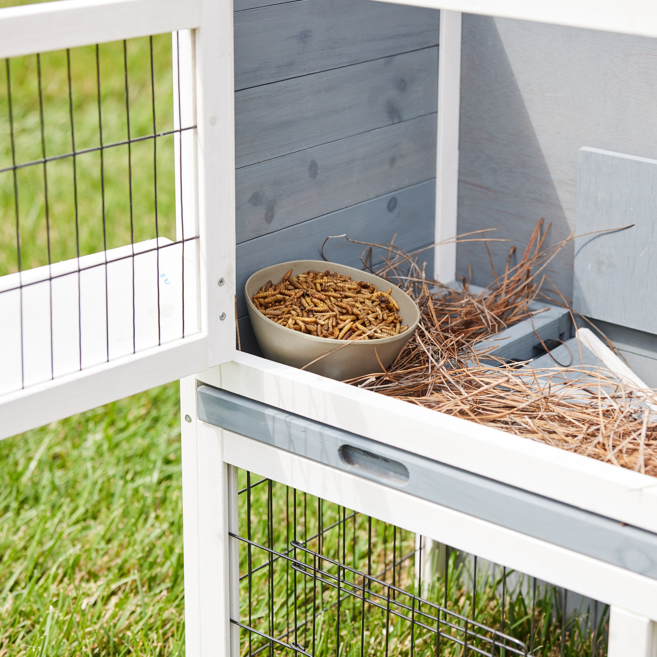 Pecking Order 009354 Poultry-Feed - View #5