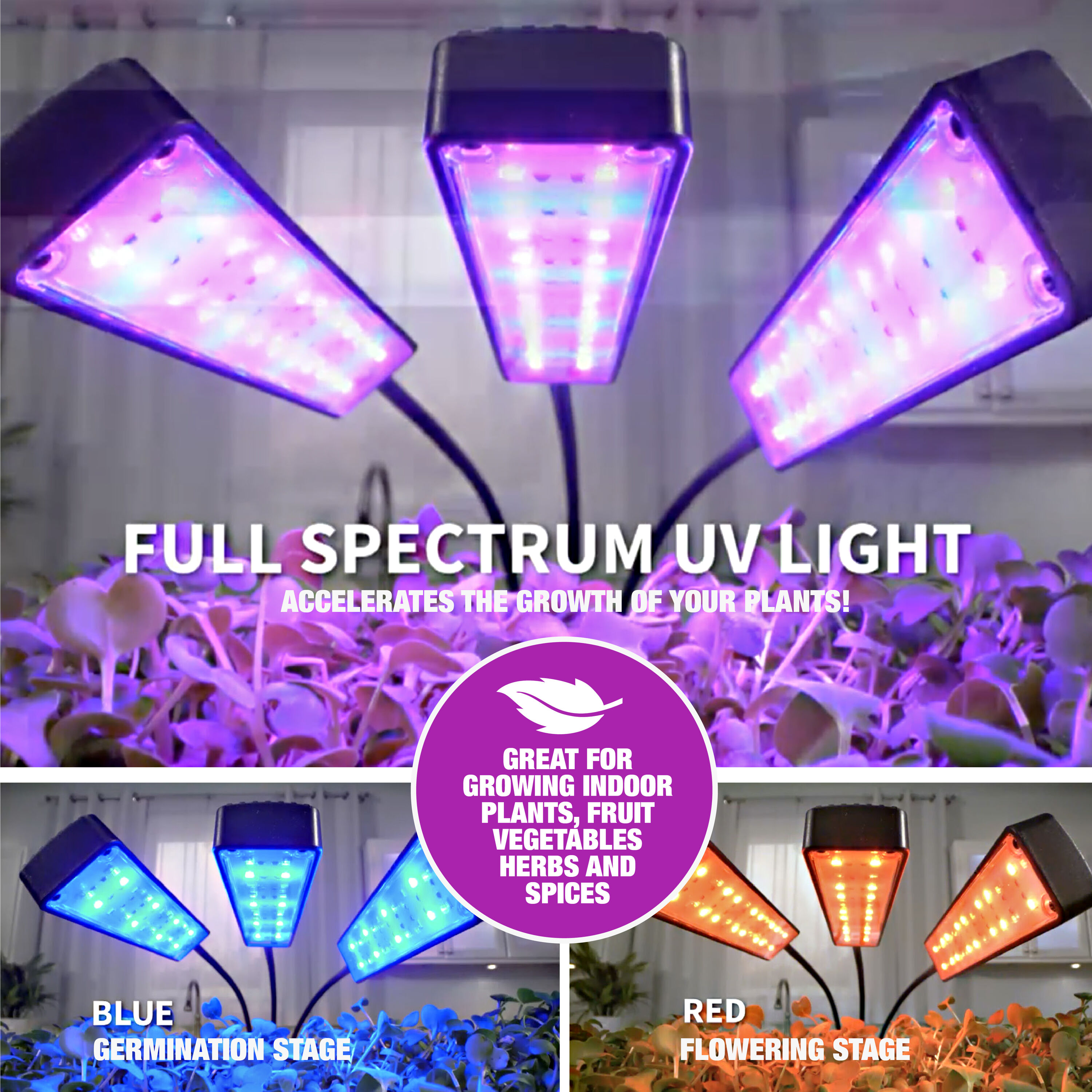 2-Heads Full Spectrum Clamp LED Grow Lights For Indoor Plants in Red and  Blue Color Changing Light
