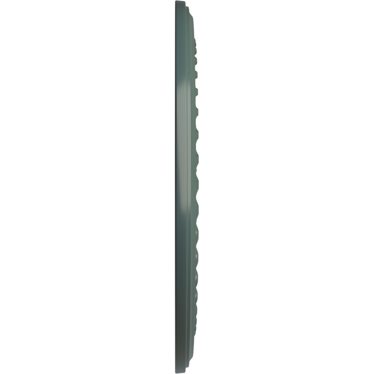 Ekena Millwork CM25COCBF Ceiling-Medallions - View #3