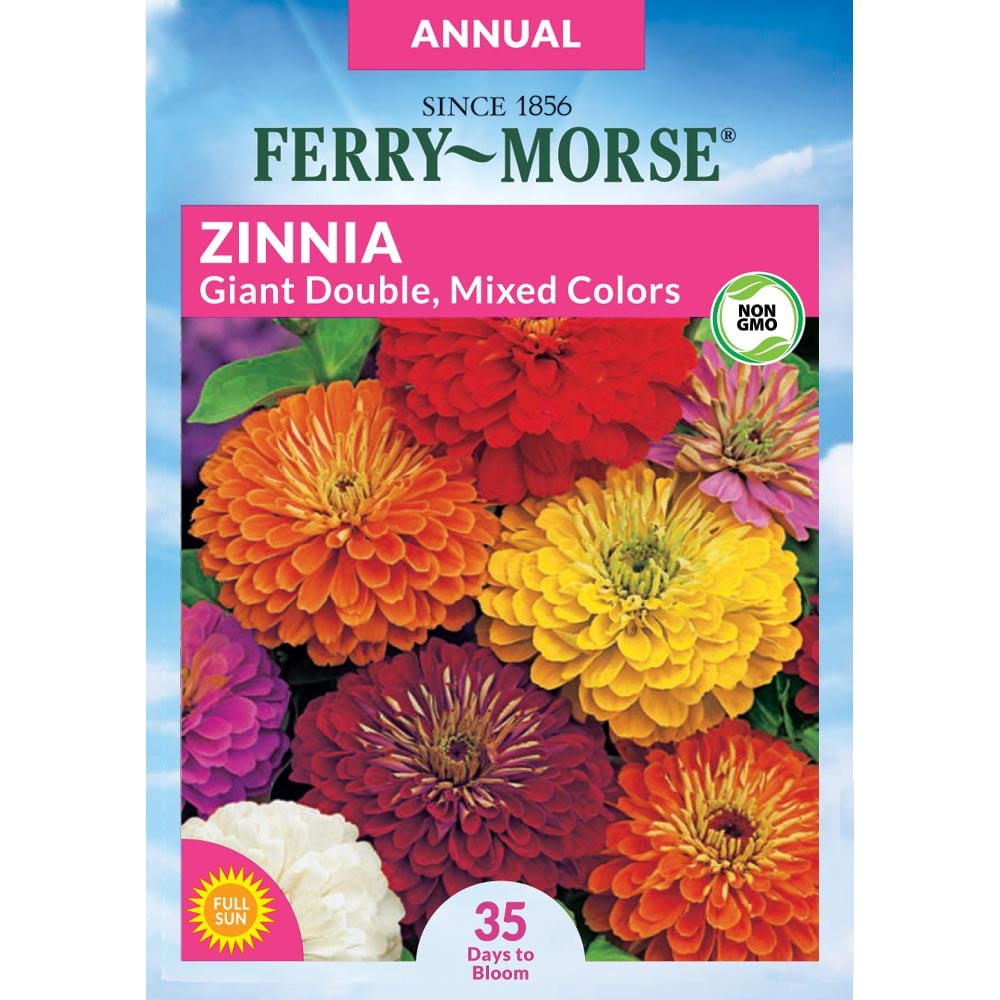 Ferry-Morse Zinnia Giant Double Mixed Colors Flower Plants, Bulbs ...