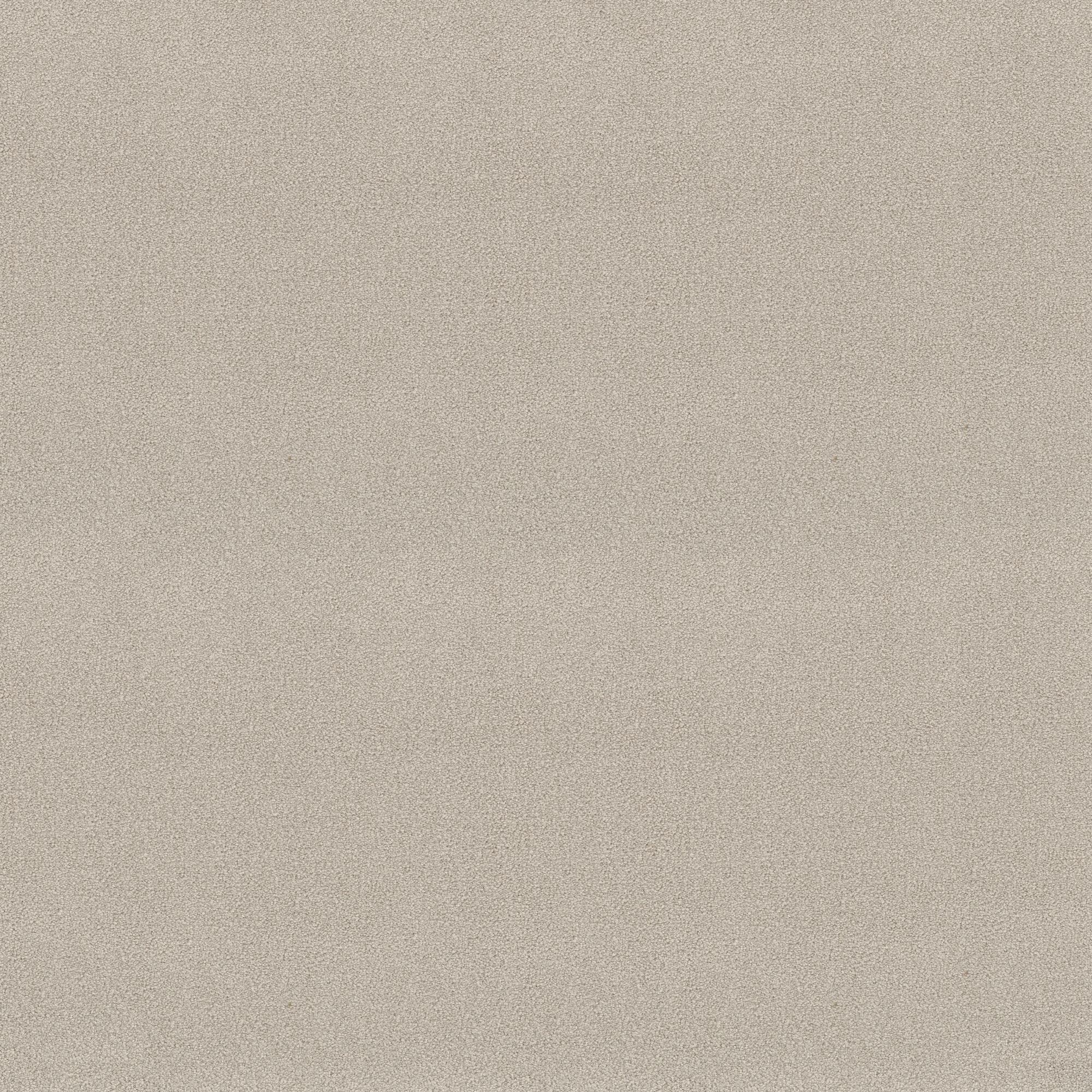 STAINMASTER PetProtect 7L88200155 Best Of Breed II Accolade Off-white 58.5-oz sq yard Nylon Textured Indoor Carpet