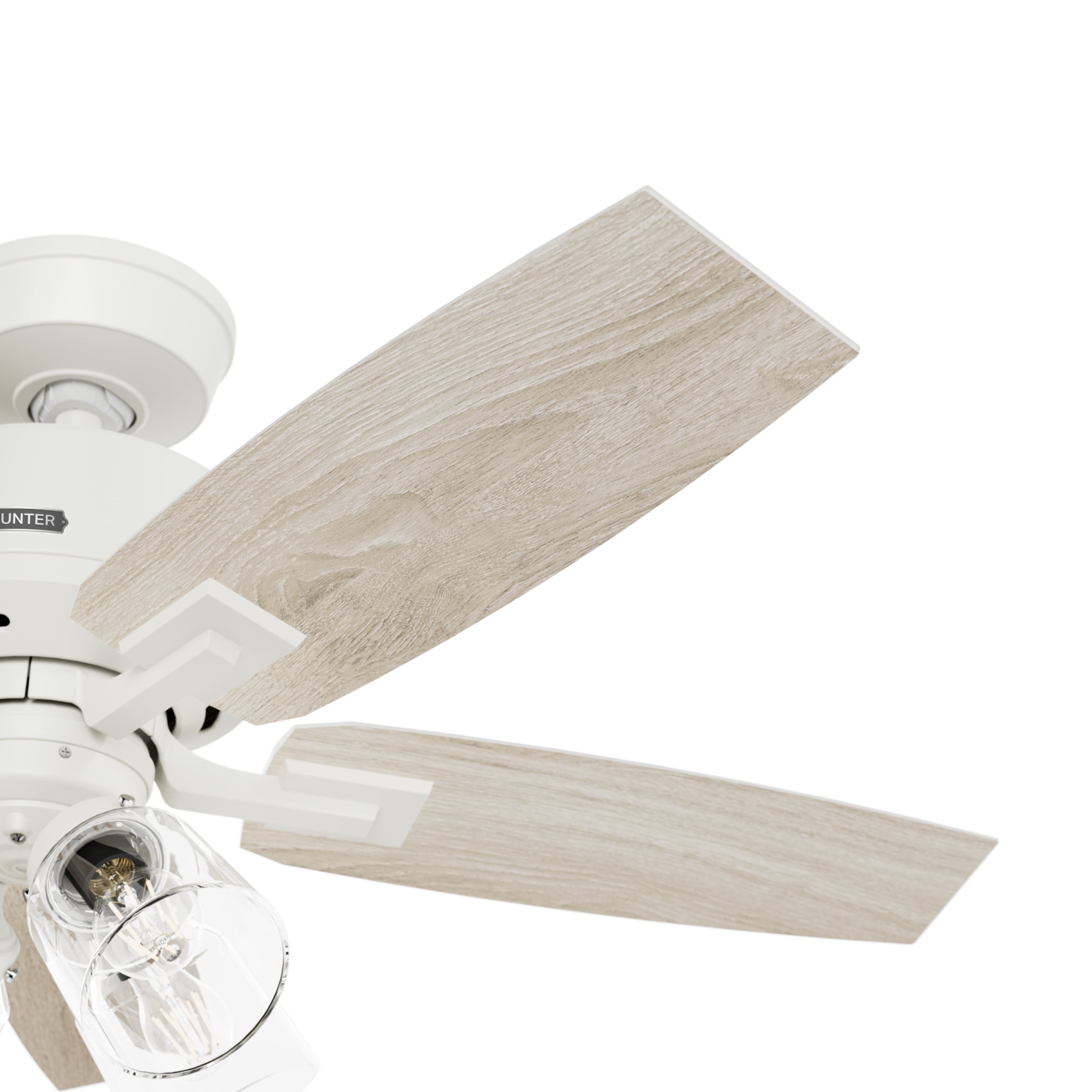 Hunter 52426 Ceiling-Fans - View #8
