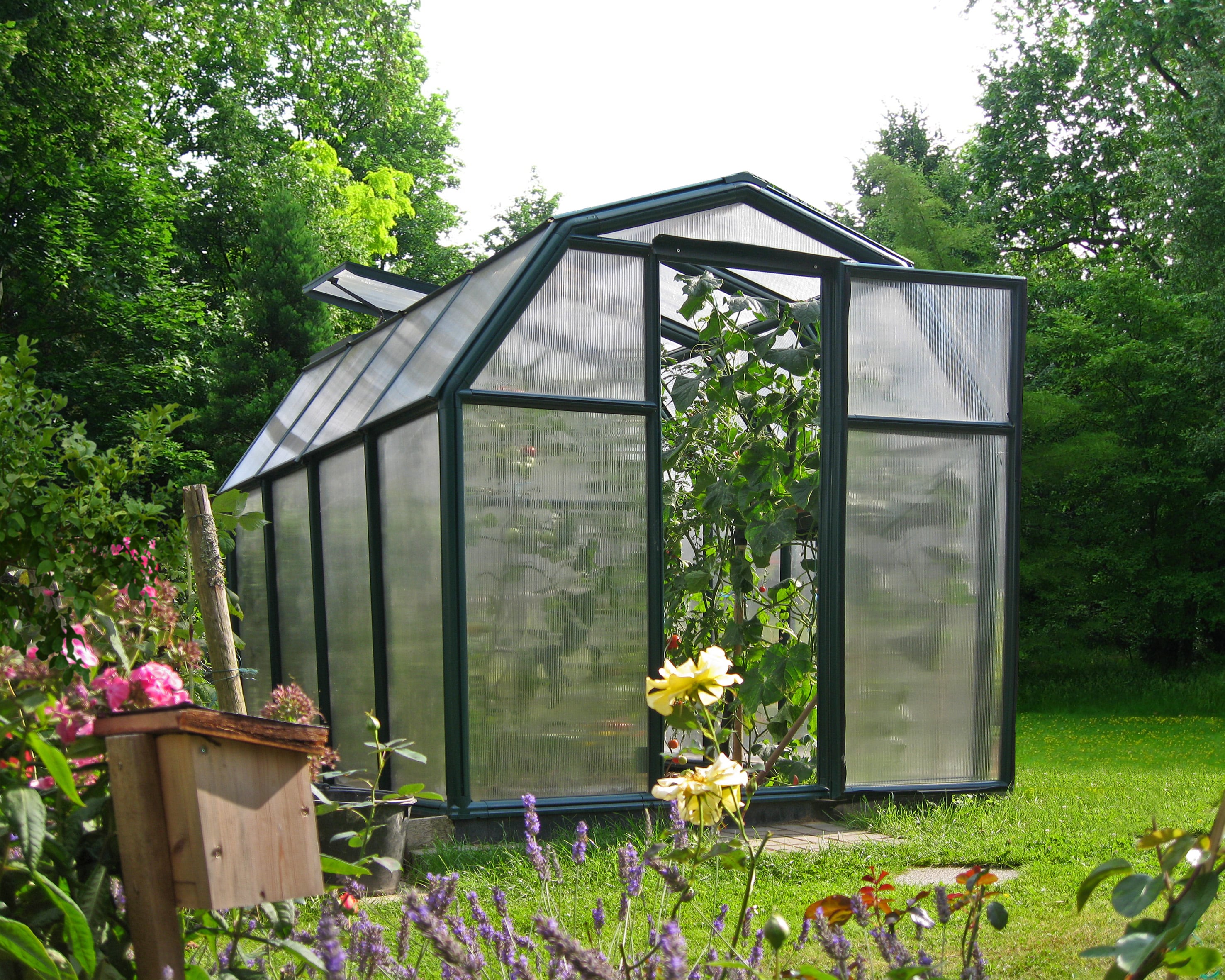 Canopia by Palram 702465 greenhouses - View #6