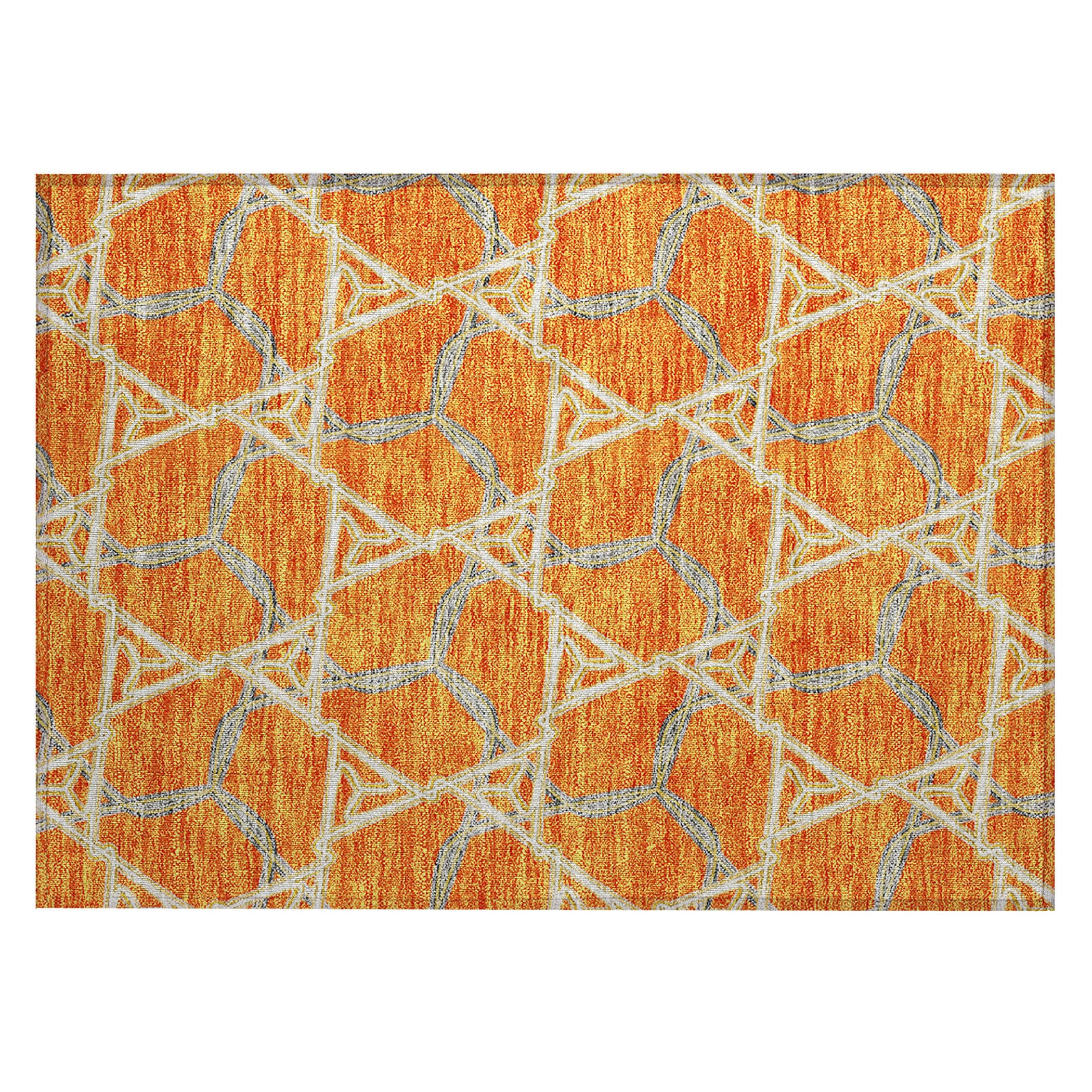 Addison Rugs ACN959OR20X30 rugs - View #2
