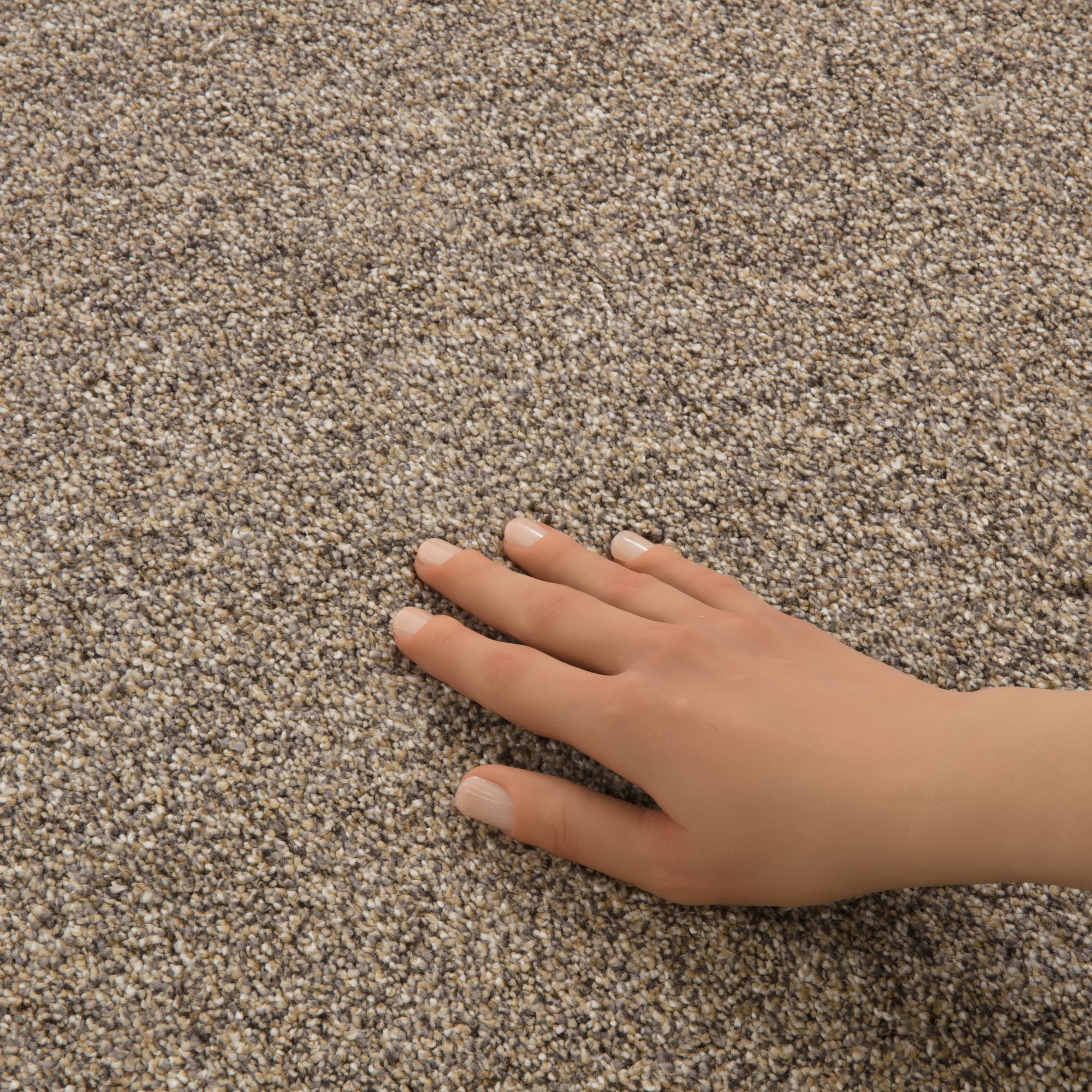 STAINMASTER PetProtect 7L931-210-SAMP Carpet-Samples - View #11