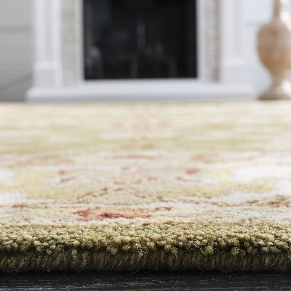 Safavieh AN562D-5 rugs - View #8