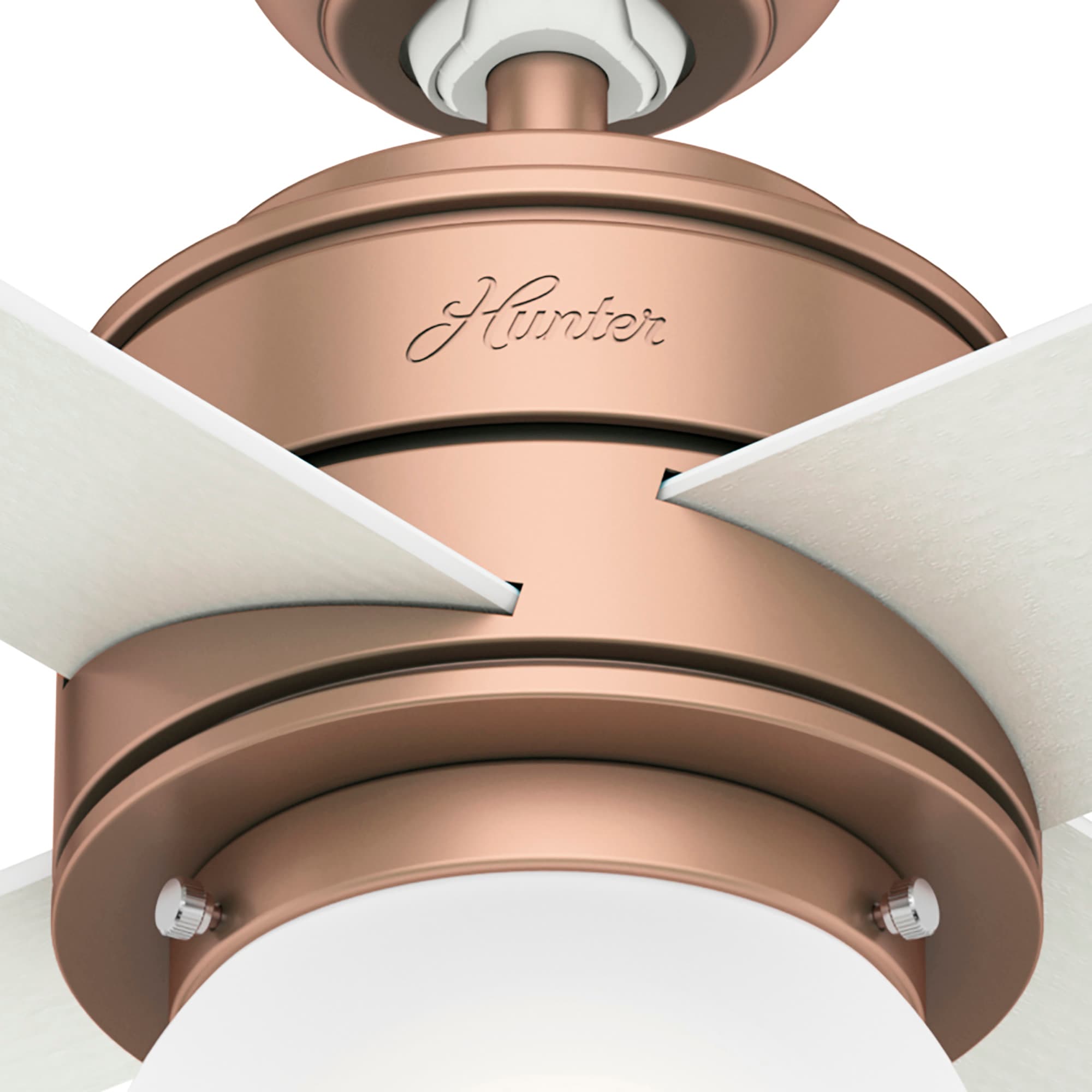 Hunter 50277 Ceiling-Fans - View #13
