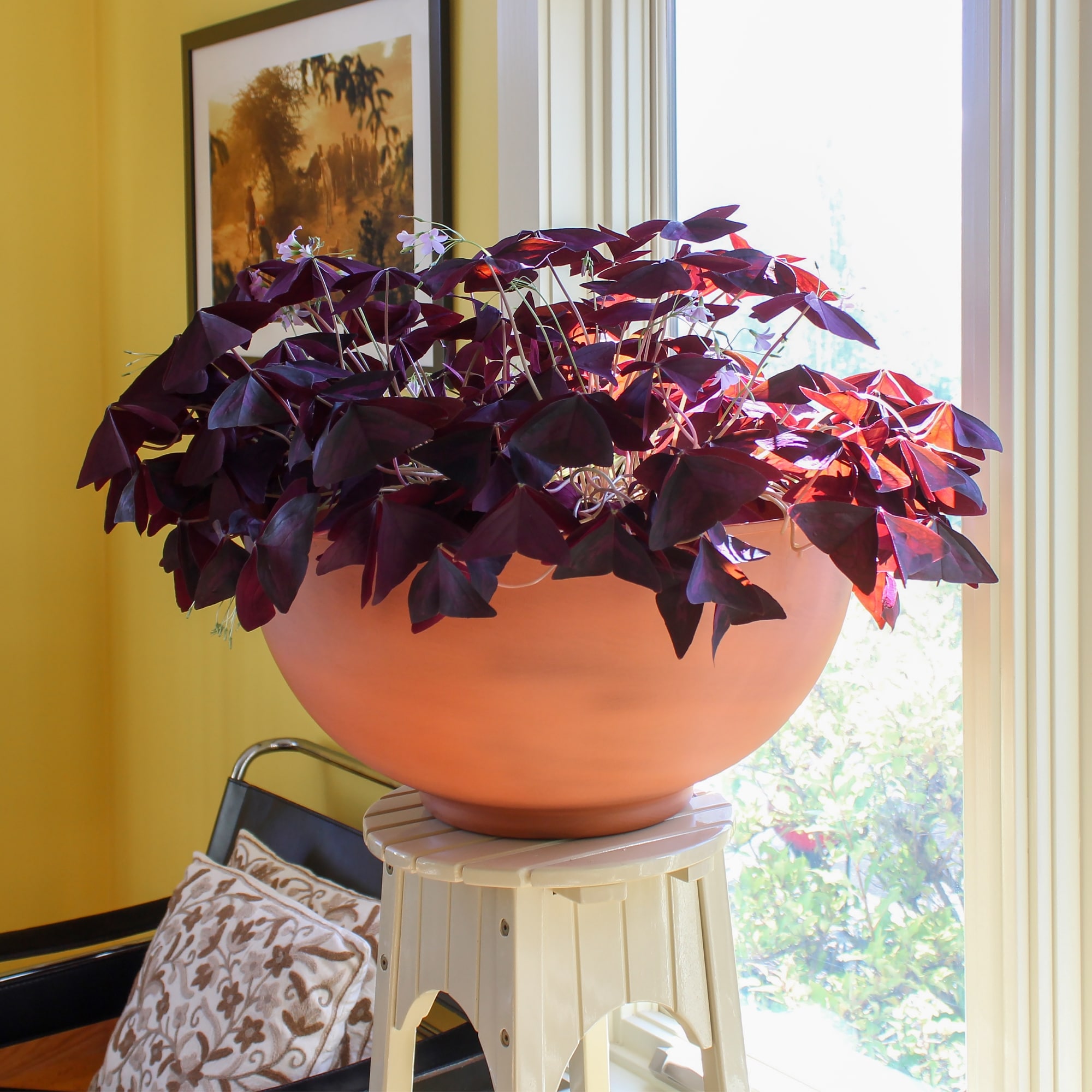 Minuteman International MA121-0003 Planter-Window-Box - View #3