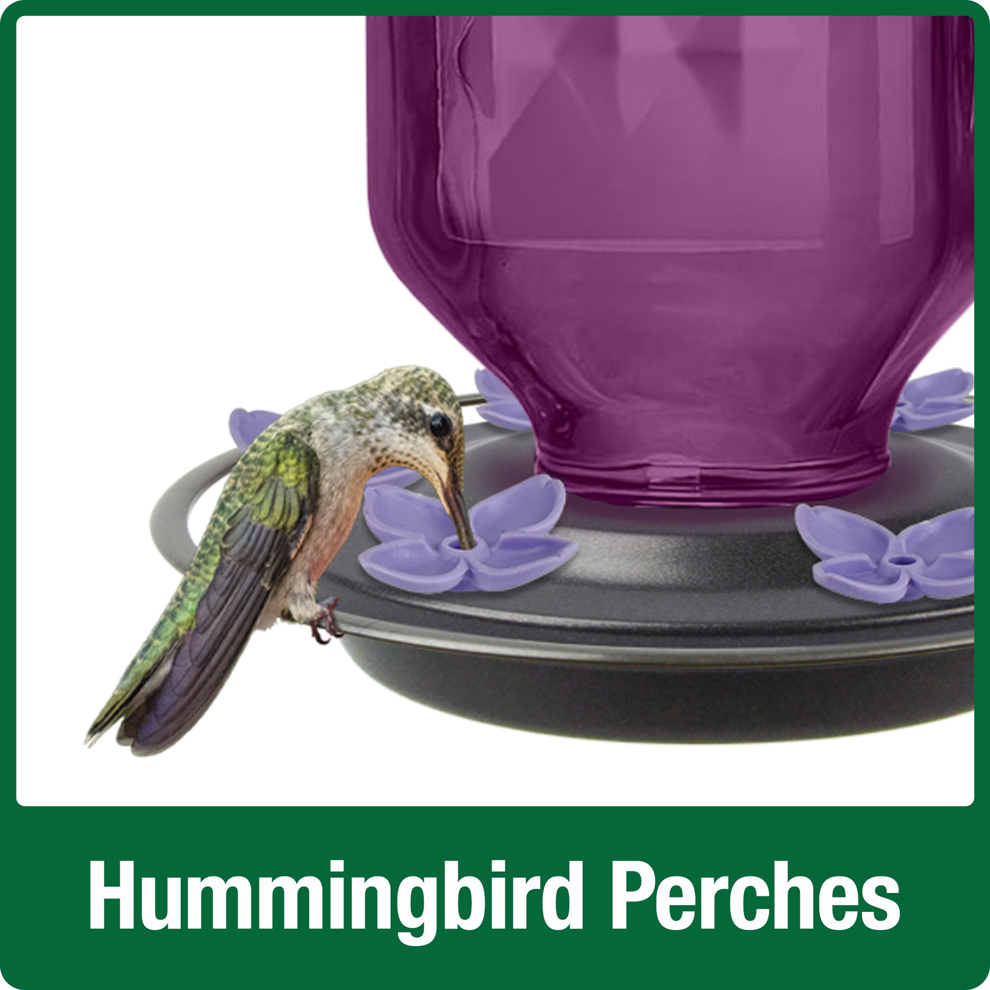 Wild Wings WWANTGHF8-AM-CP1 Bird-Feeders - View #5