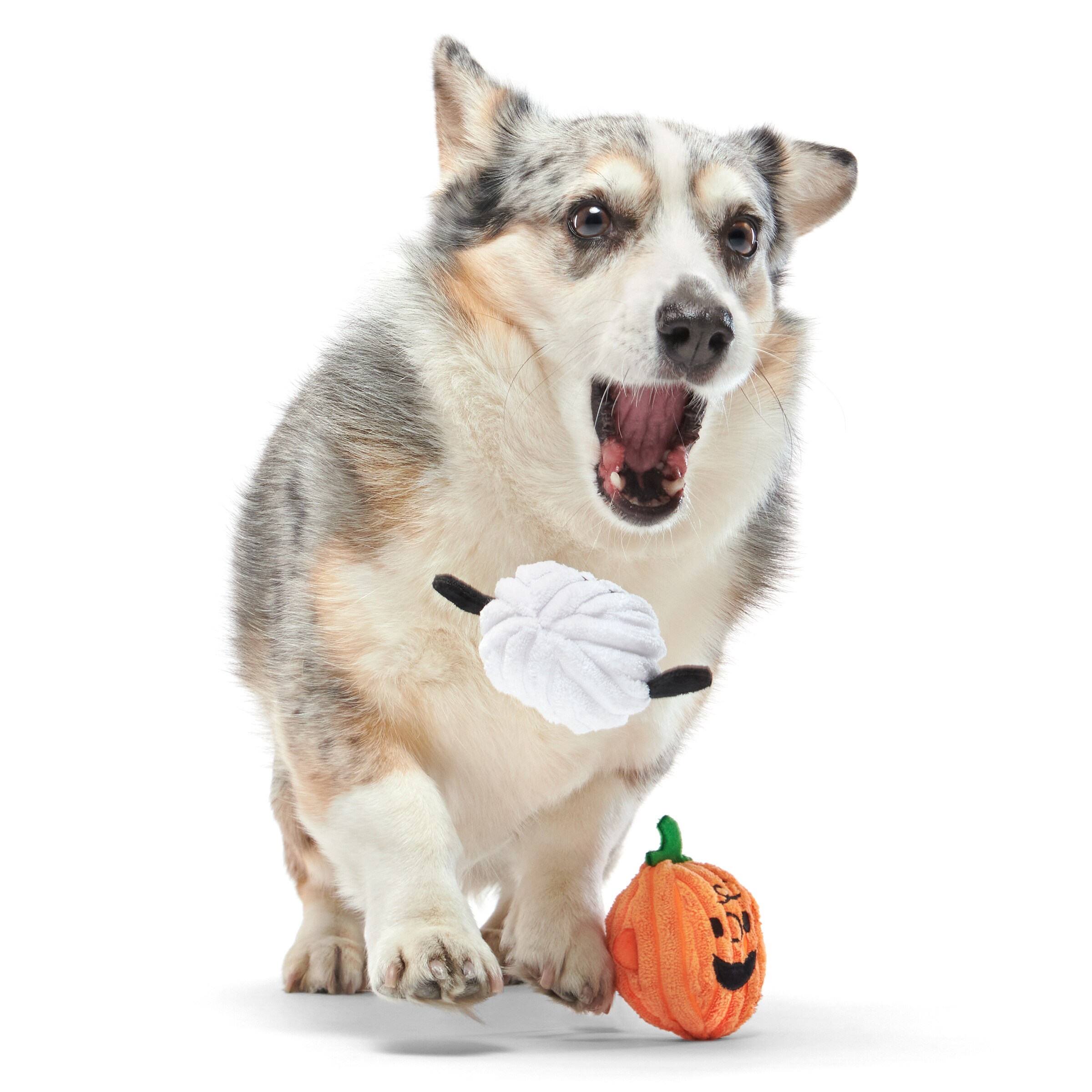 BARK 214623 Dog-Toys - View #2