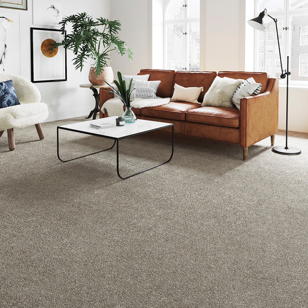 STAINMASTER STP58-12-L011 Carpet-Panel - View #3