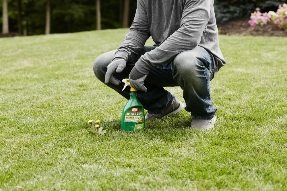 ORTHO 0193510 Weed-Killers - View #5