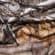 Realtree Xtra