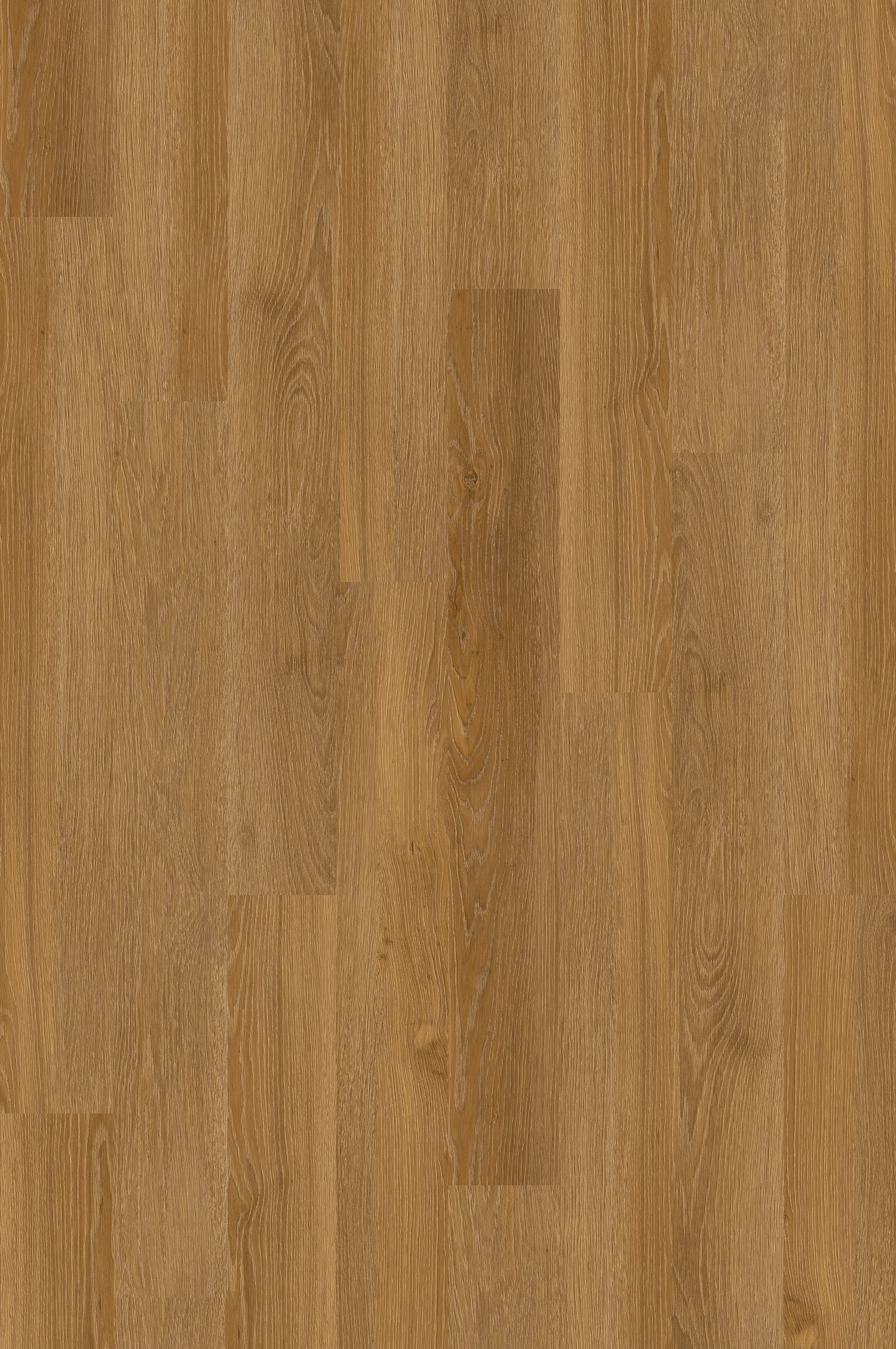 Style Selections SSPGD208523 Emory Oak Brown Wood look 20-Mils x 6-in W x 48-in L Water Resistant Glue down Luxury Vinyl Plank Flooring ( 42-Sq. Feet Carton )