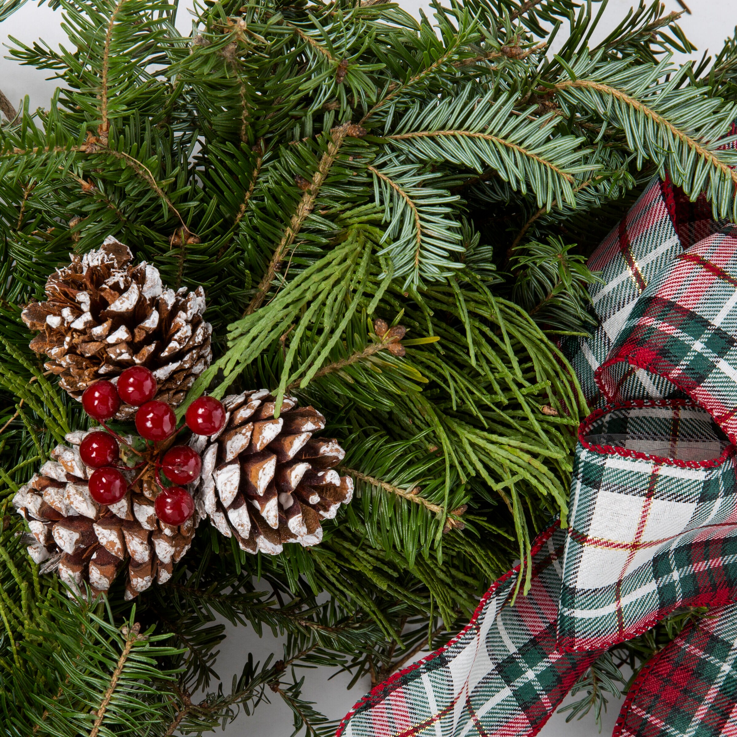 Metrolina Greenhouses 79465 Fresh-Wreaths - View #2