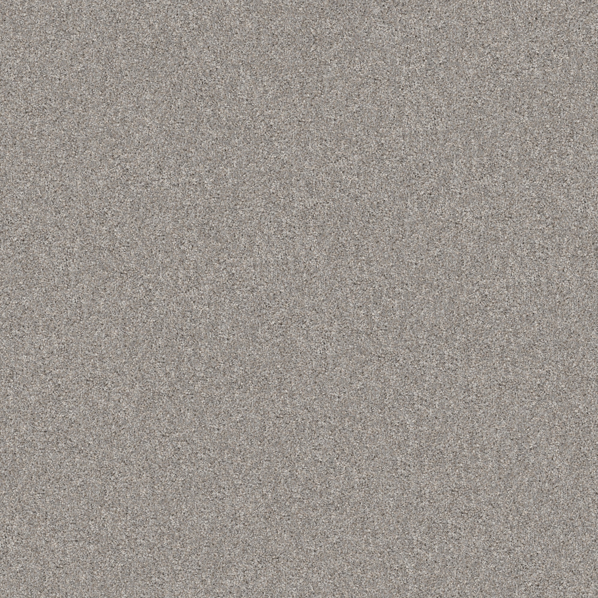 STAINMASTER Impassioned I 15-FT Rock Crystal Gray 58.5-oz sq yard ...
