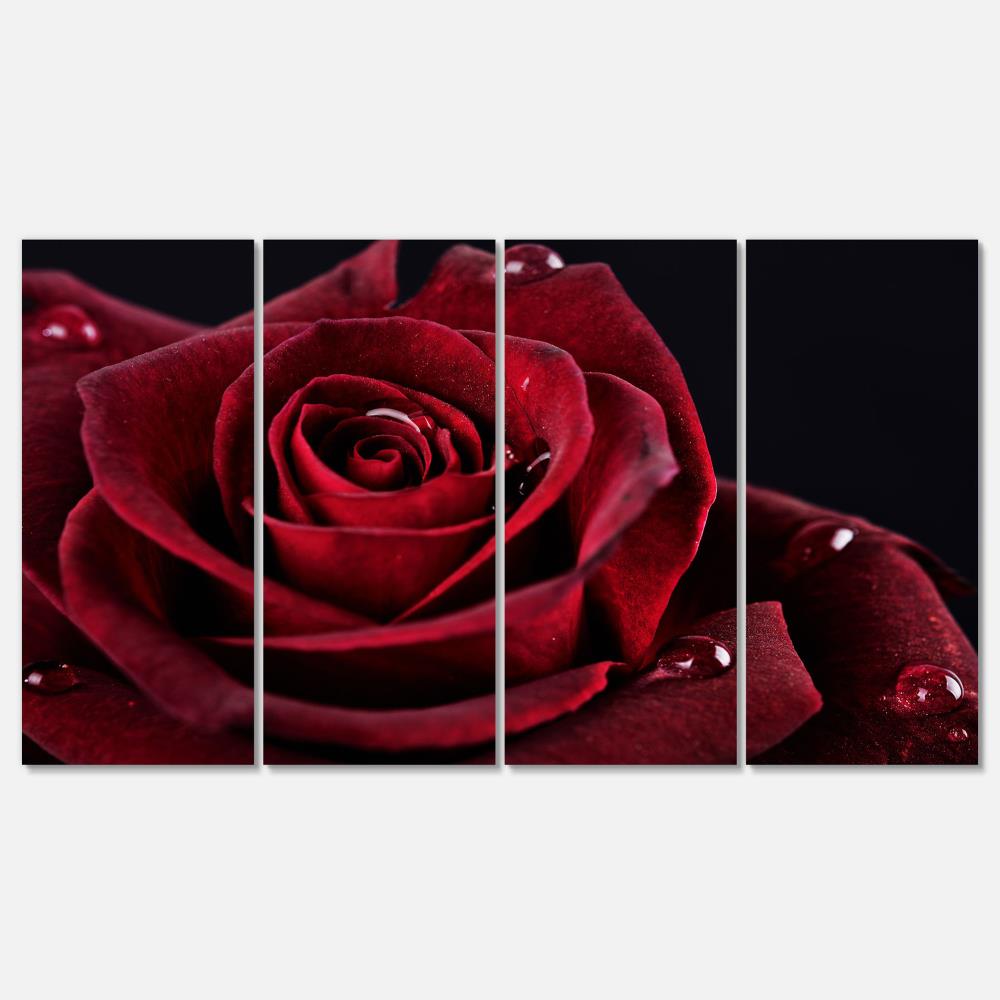 Designart 28-in H x 48-in W Floral Print on Canvas at Lowes.com