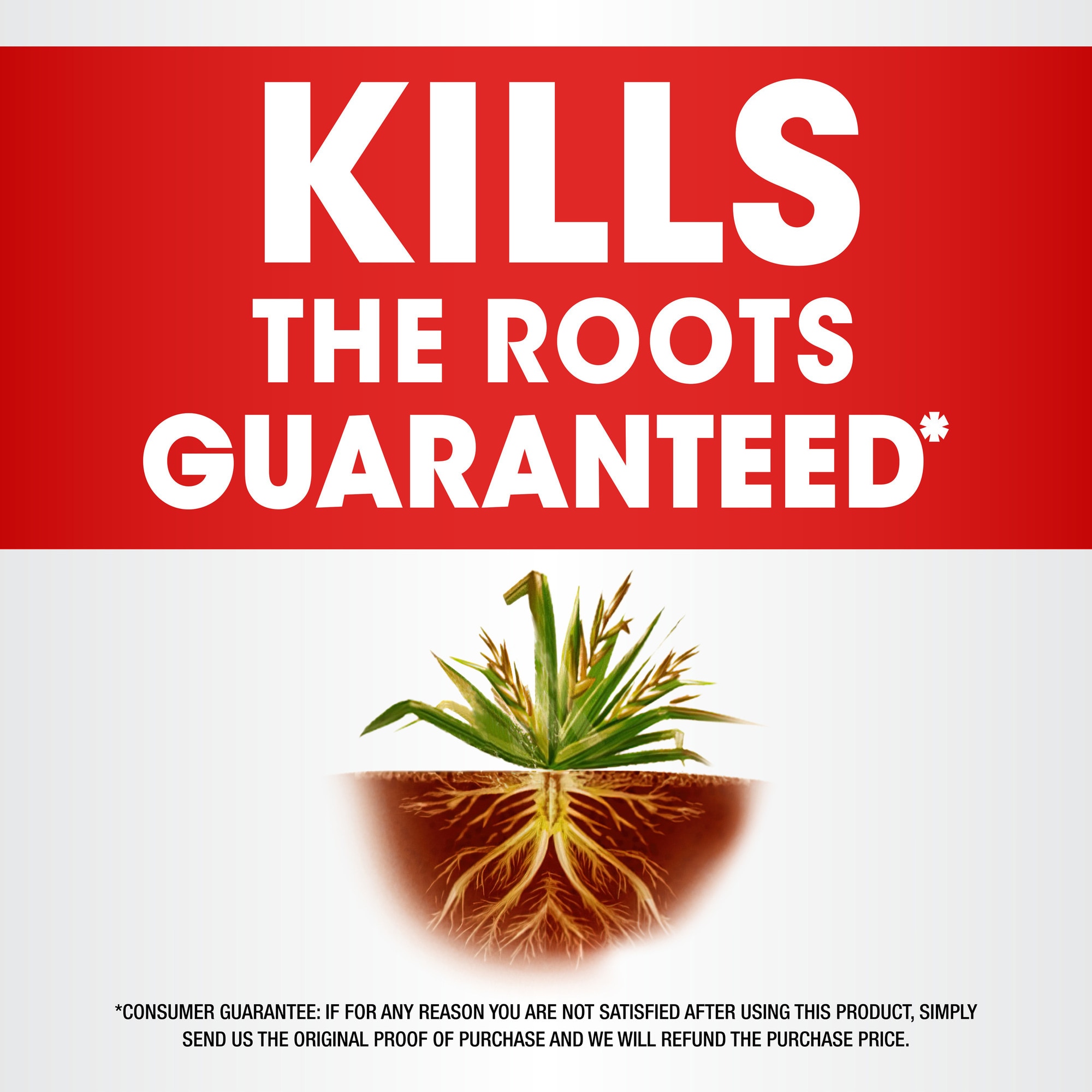 Roundup 5006010 Weed-Killers - View #3
