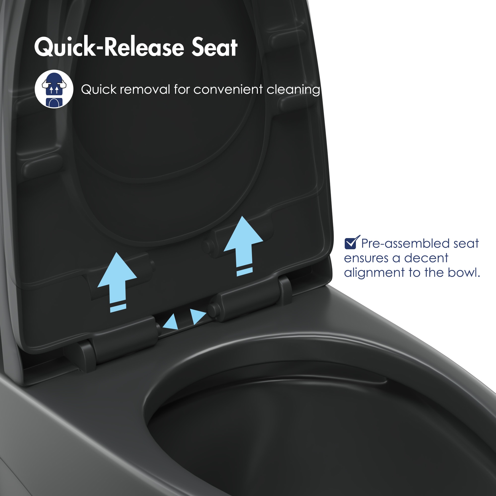 Reno Matte Black Elongated Dual Flush One-Piece Toilet