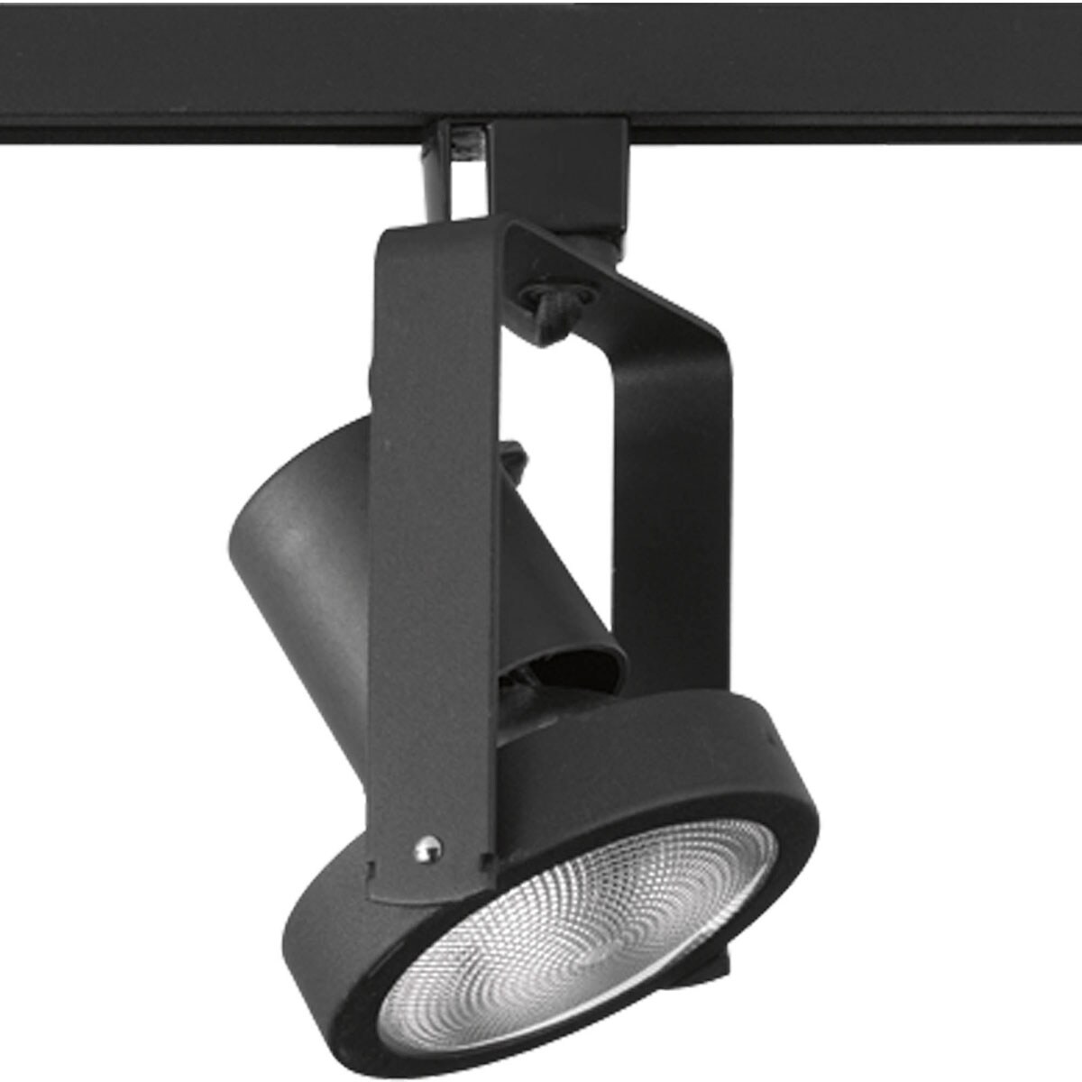 Progress Lighting P6327-31 Alpha Trak Collection High Tech PAR 30 Track Head