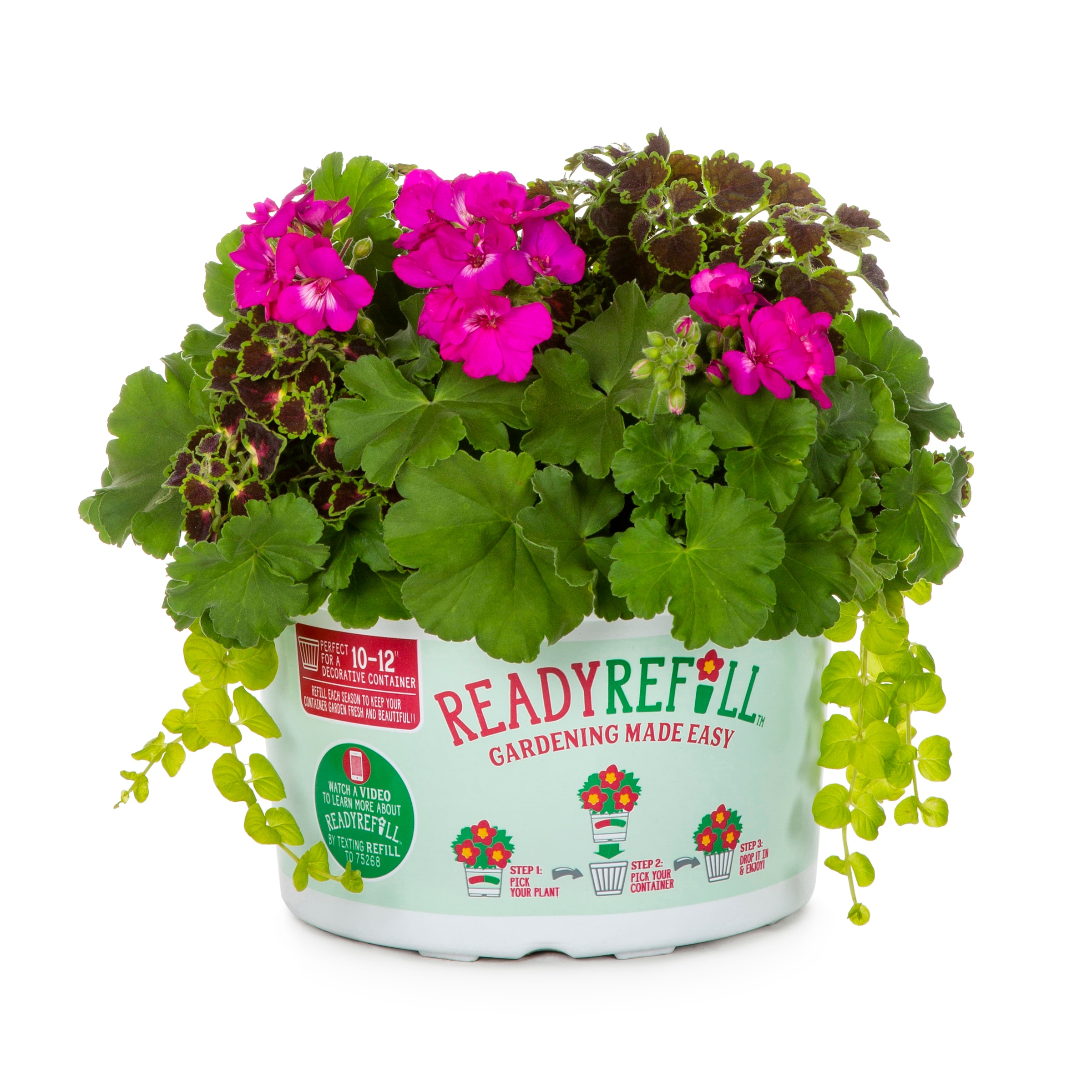 Ready Refill 1236490 Multicolor Mixed Annuals Combinations in 1.50 Gallon(s) Pot 1 -Pack