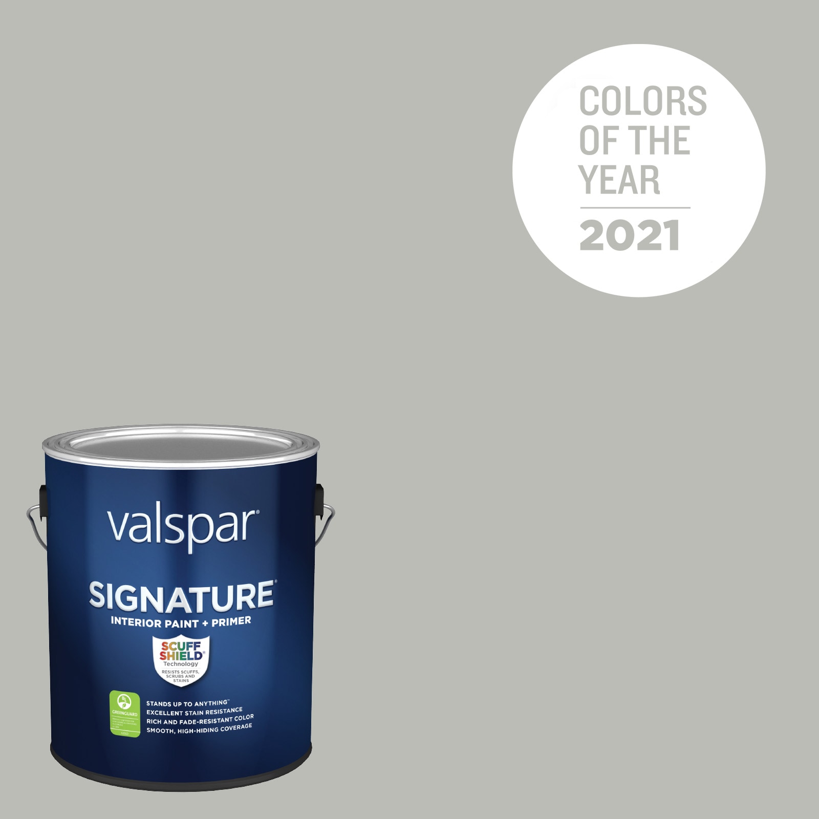Valspar Flat Alabaster Stone Sandstone Spray Paint and Primer In
