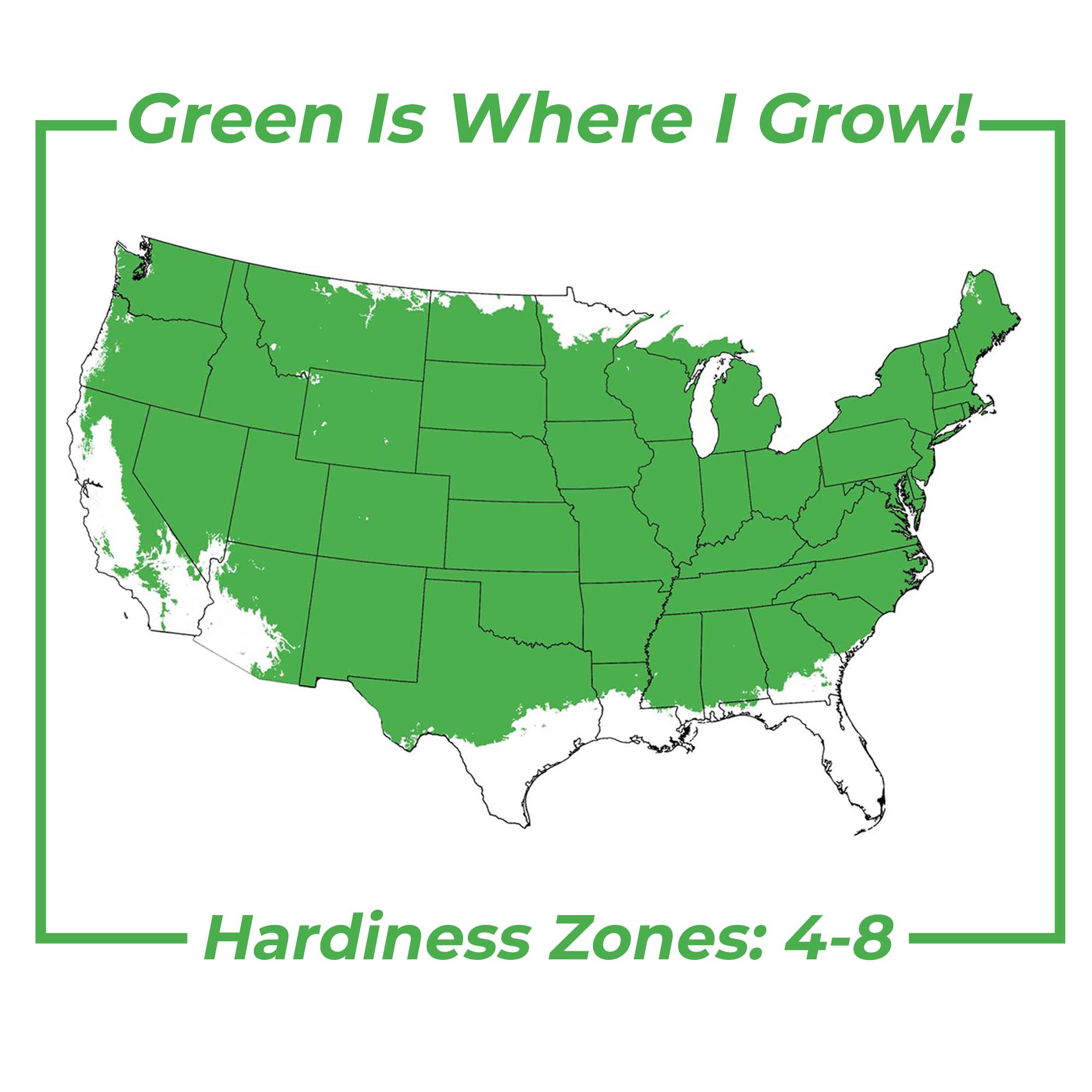 Perfect Plants LOREDDELICIOUS5G trees - View #5