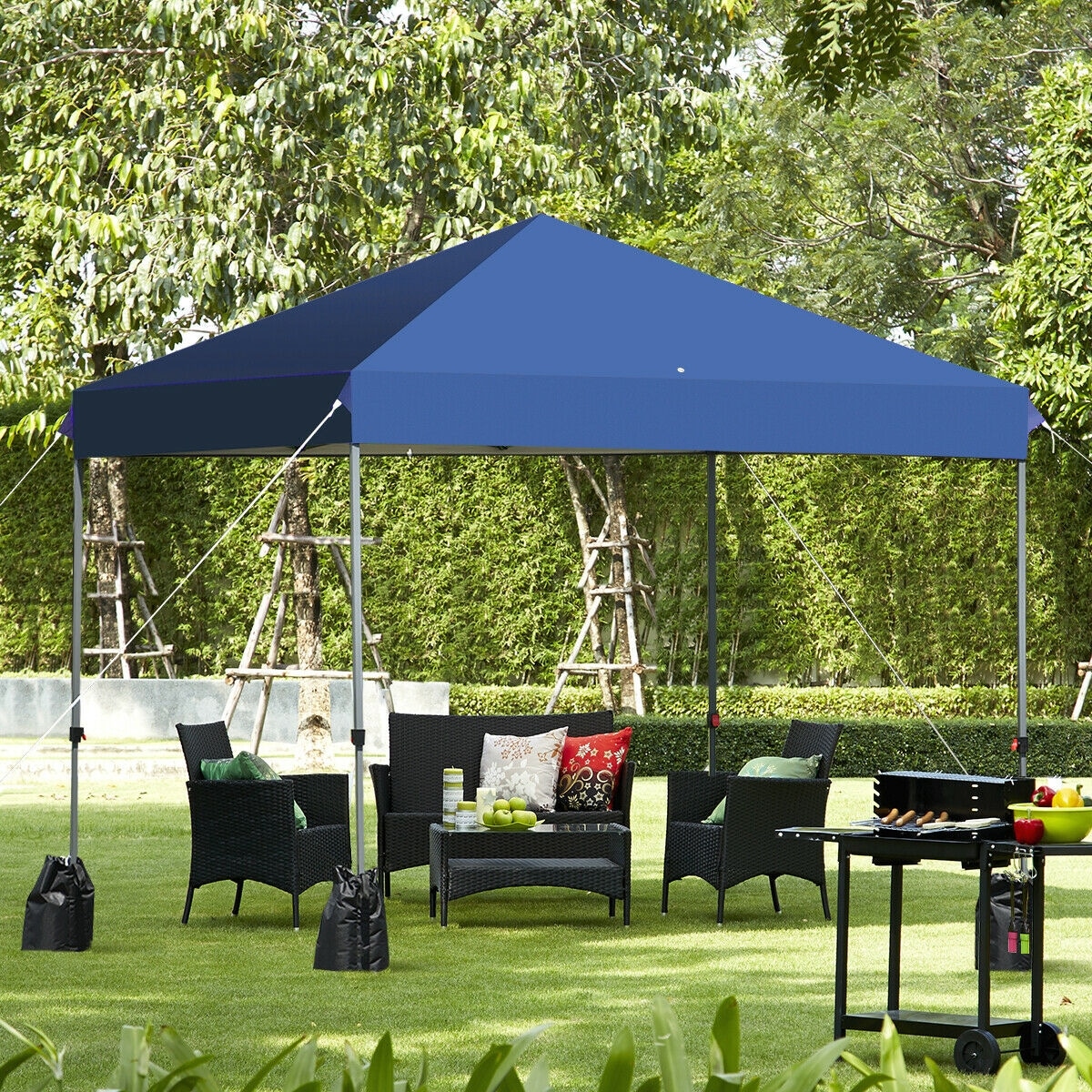 Clihome CWCH-OP70299BL Canopies-Sl - View #2