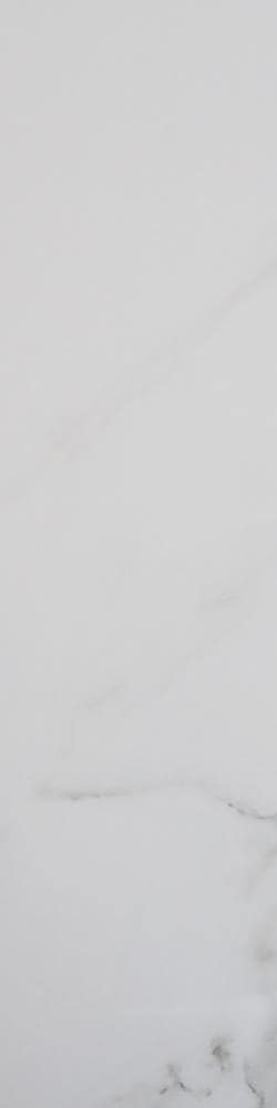 FLOORS 2000 CALACATTA312BNWHMT Calacatta White Porcelain Bullnose Tile (3-in x 12-in)