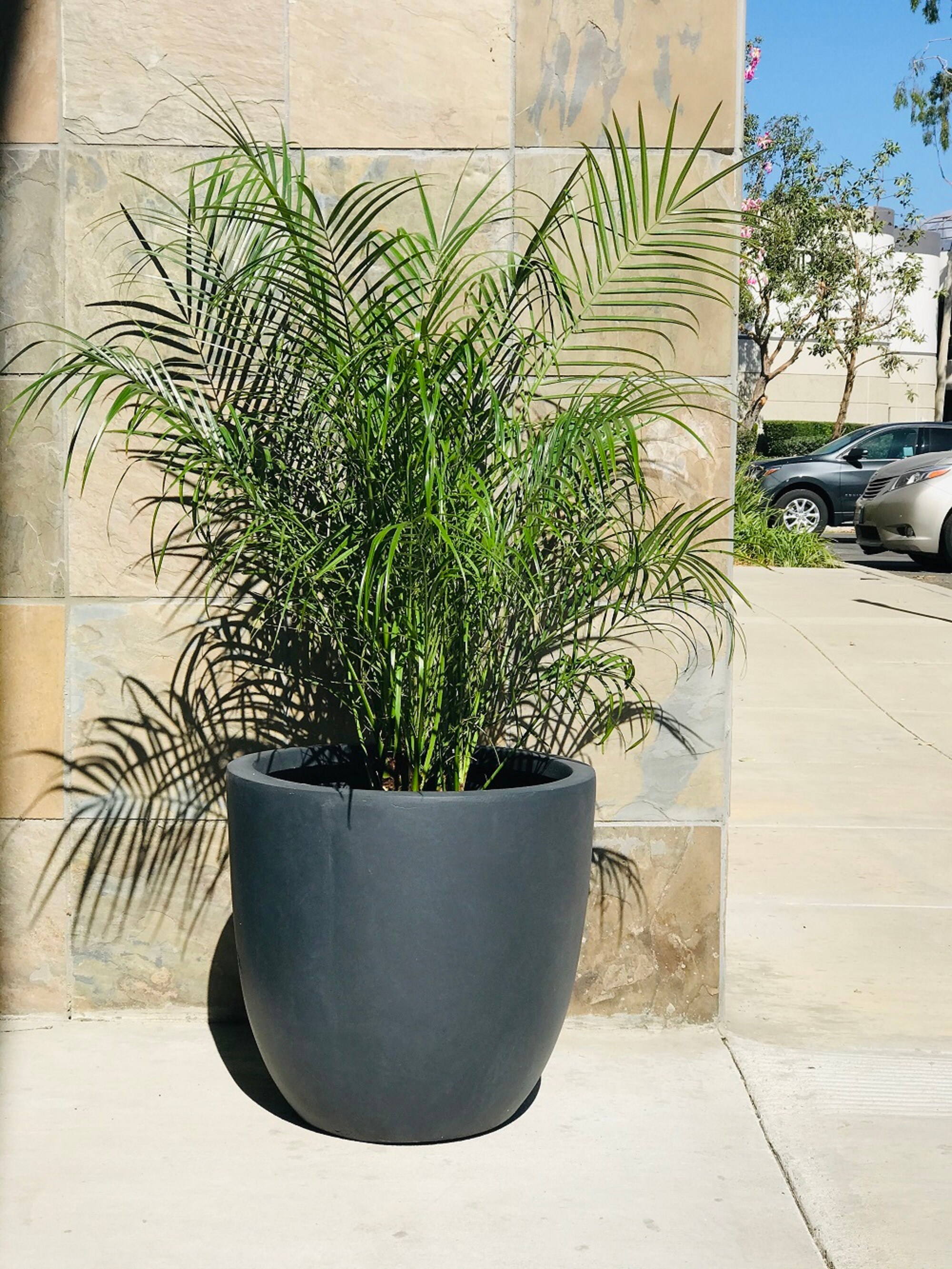 KANTE RC0050B-C60121 Planter-Window-Box - View #8