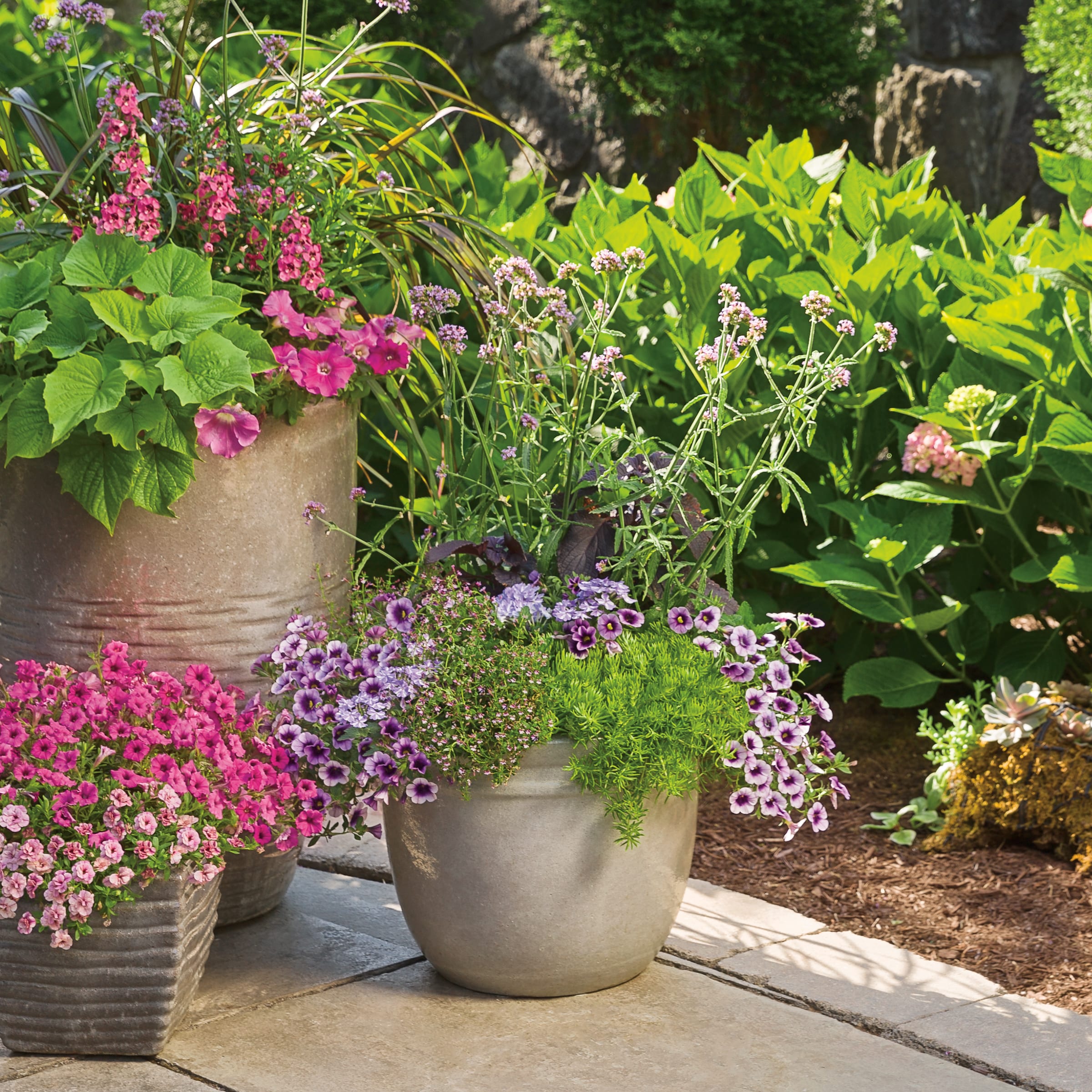 Lowe's Multicolor Calibrachoa in 1.15-Gallon Planter in the Annuals ...