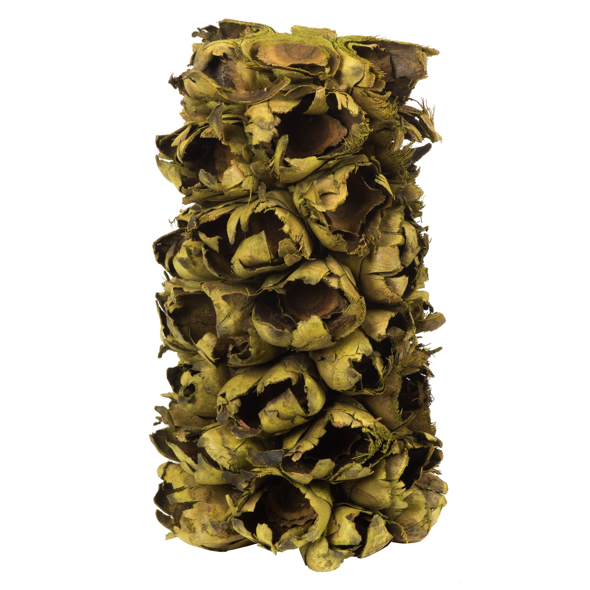 Vickerman H2GPS100-2 10-in Basil Indoor Preserved Artificial Plant