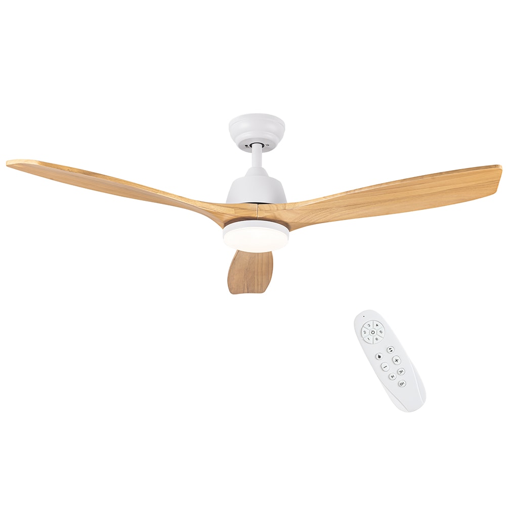 Sunrinx MG40-12-FL Ceiling-Fans - View #7