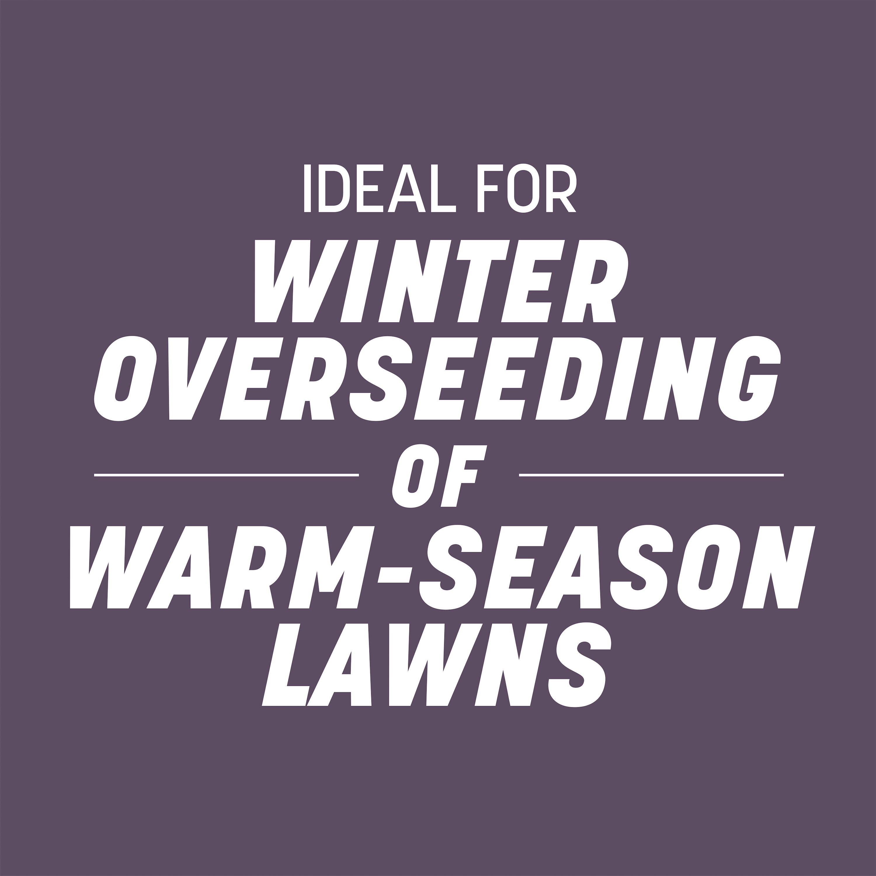 Pennington 184115 Grass-Seed - View #7