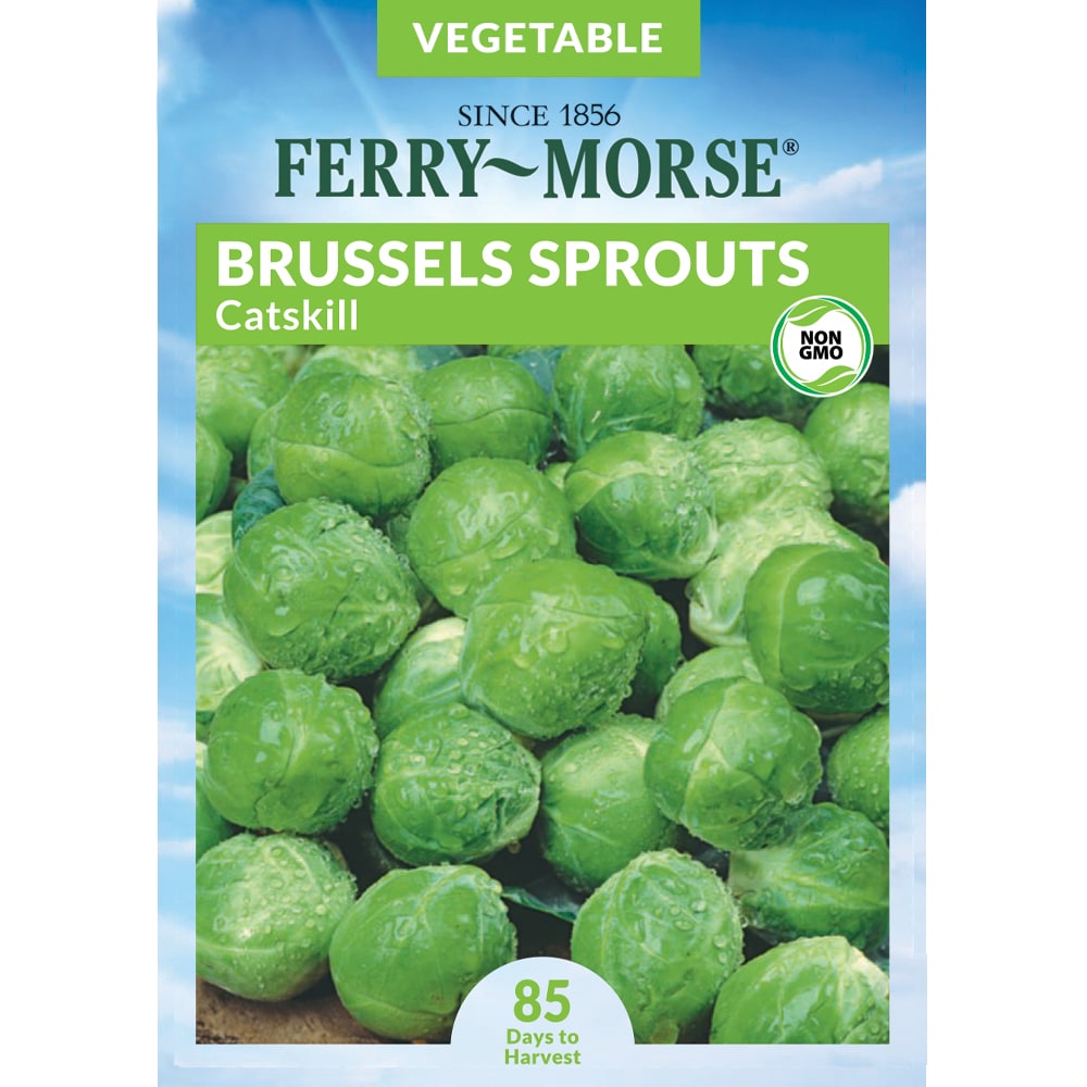 Ferry-Morse 914624.219.641155 Brussels Imp Sprout L Island Vegetable Seeds 0.9 Gram(s)