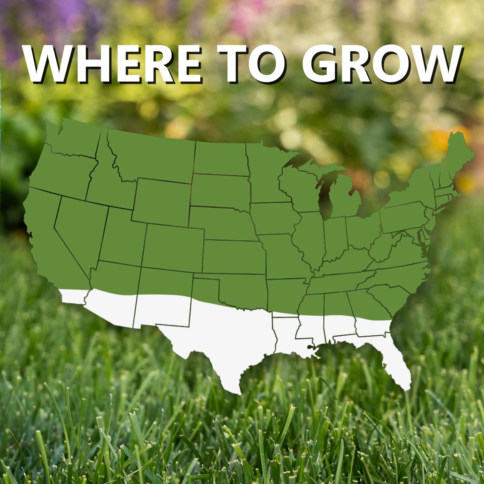 Jonathan Green 10810 Grass-Seed - View #4