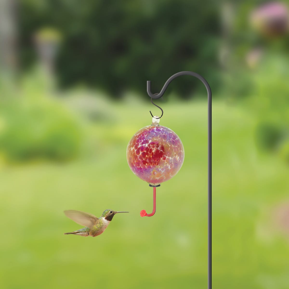 Style Selections 82108L Stake-Sheep-Hook - View #5