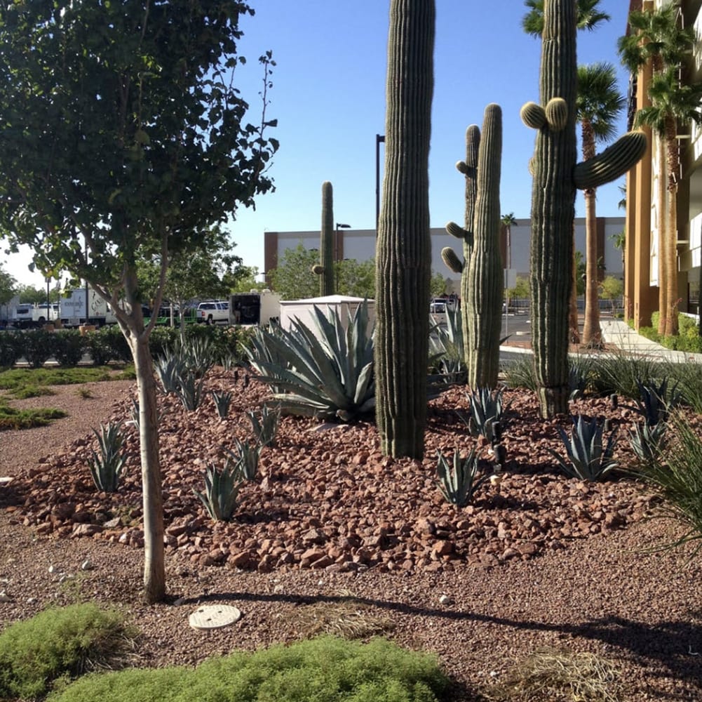 Yard Elements YDE002-0278LW Landscaping-Rock - View #4