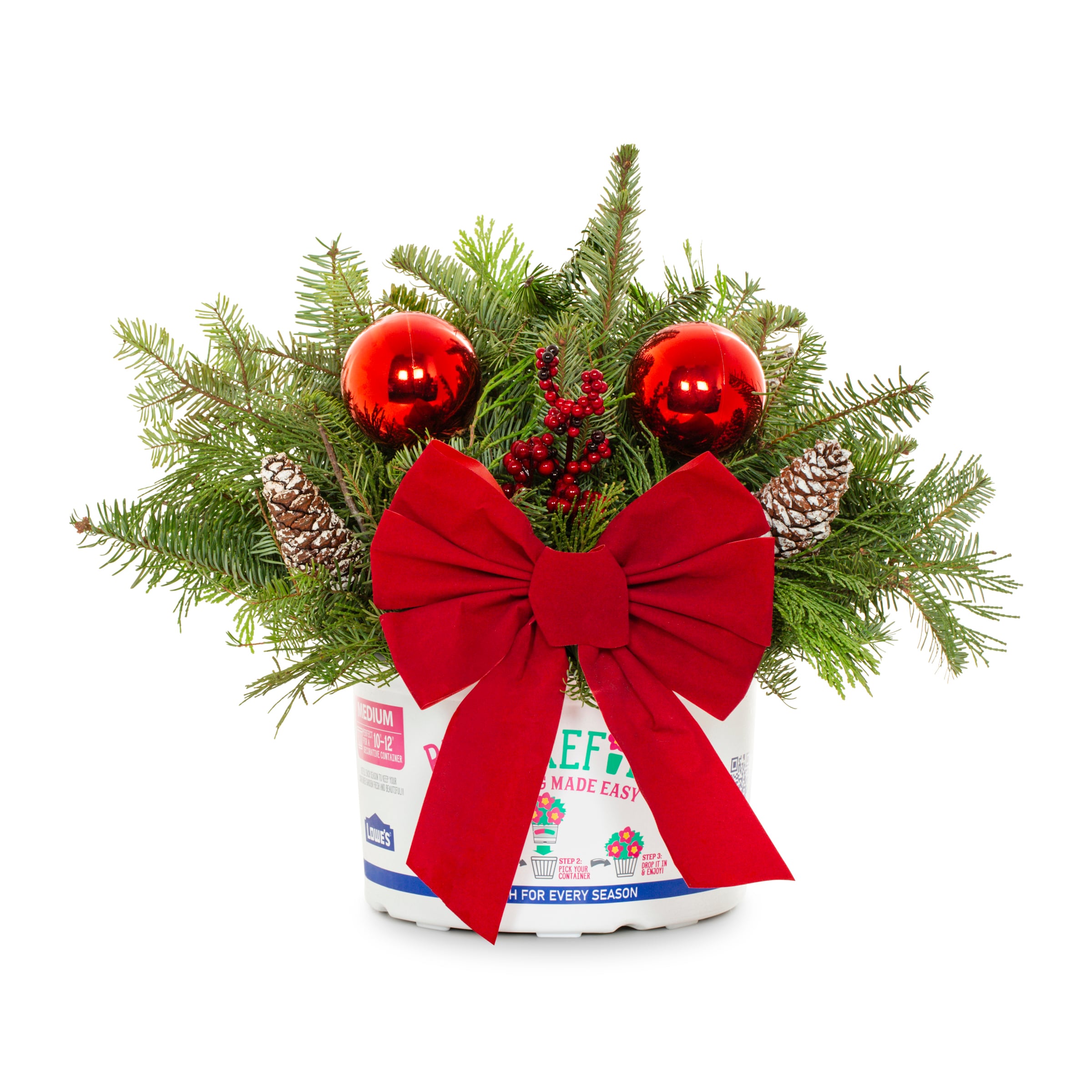 Metrolina Greenhouses 4132 1.5 -Gallon Fresh Christmas Potted Greenery