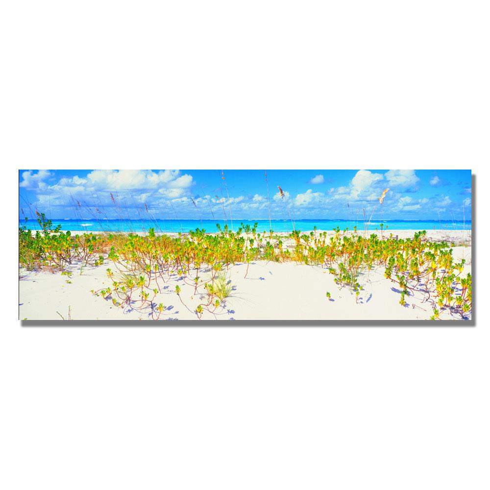 Trademark Fine Art EM286-C1232GG Framed 12-Inches H x 32-Inches W Photography Canvas Print