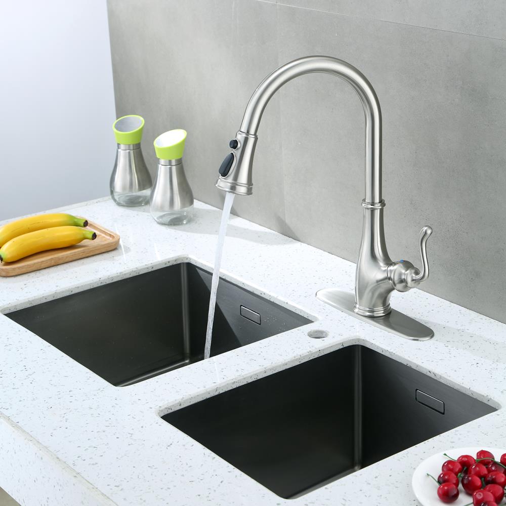 Topcraft ADA Compliant Kitchen Faucets & Water Dispensers at Lowes.com